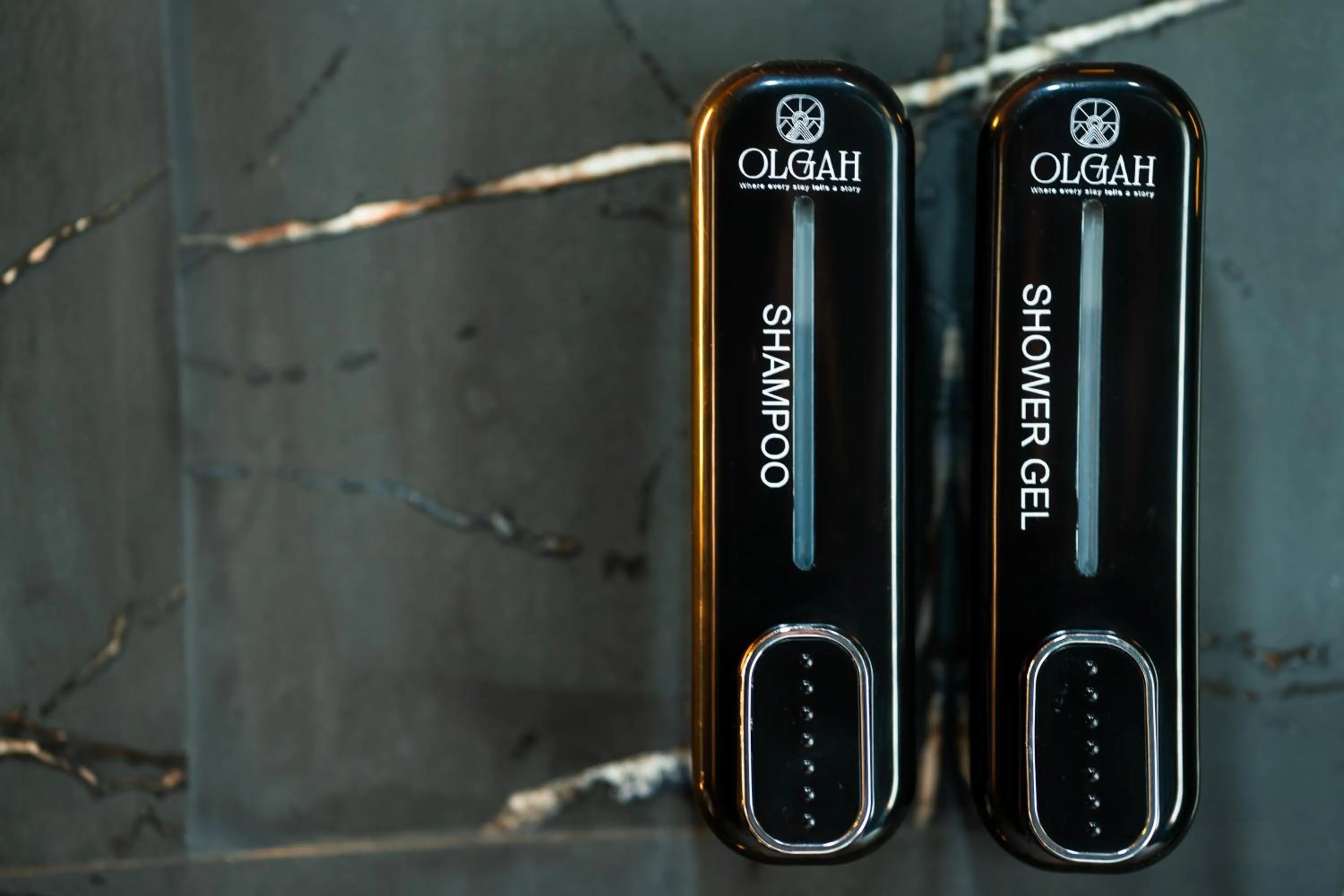 Bathroom in Olgah Manali