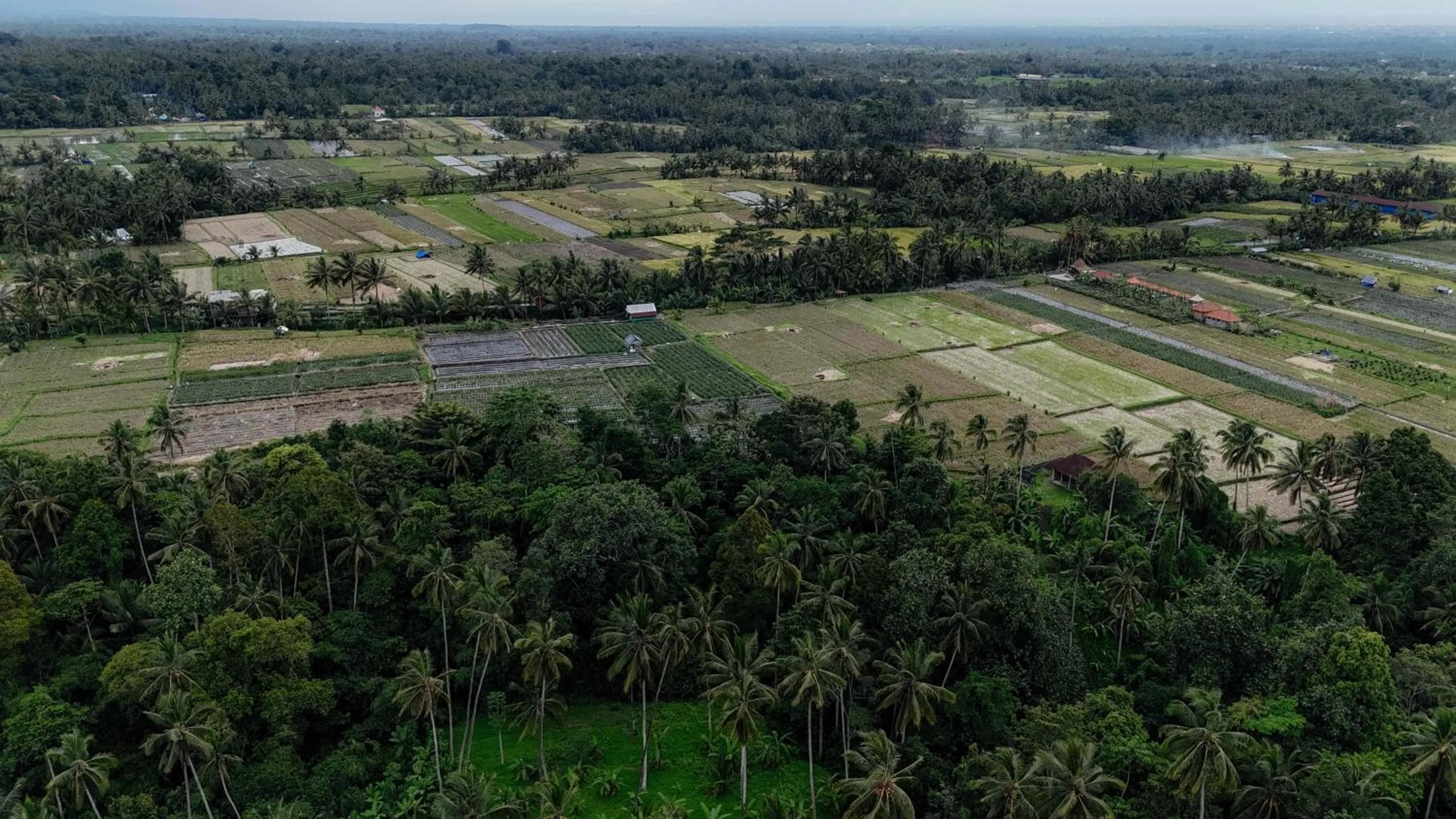 Property building in Campuhan Guesthouse