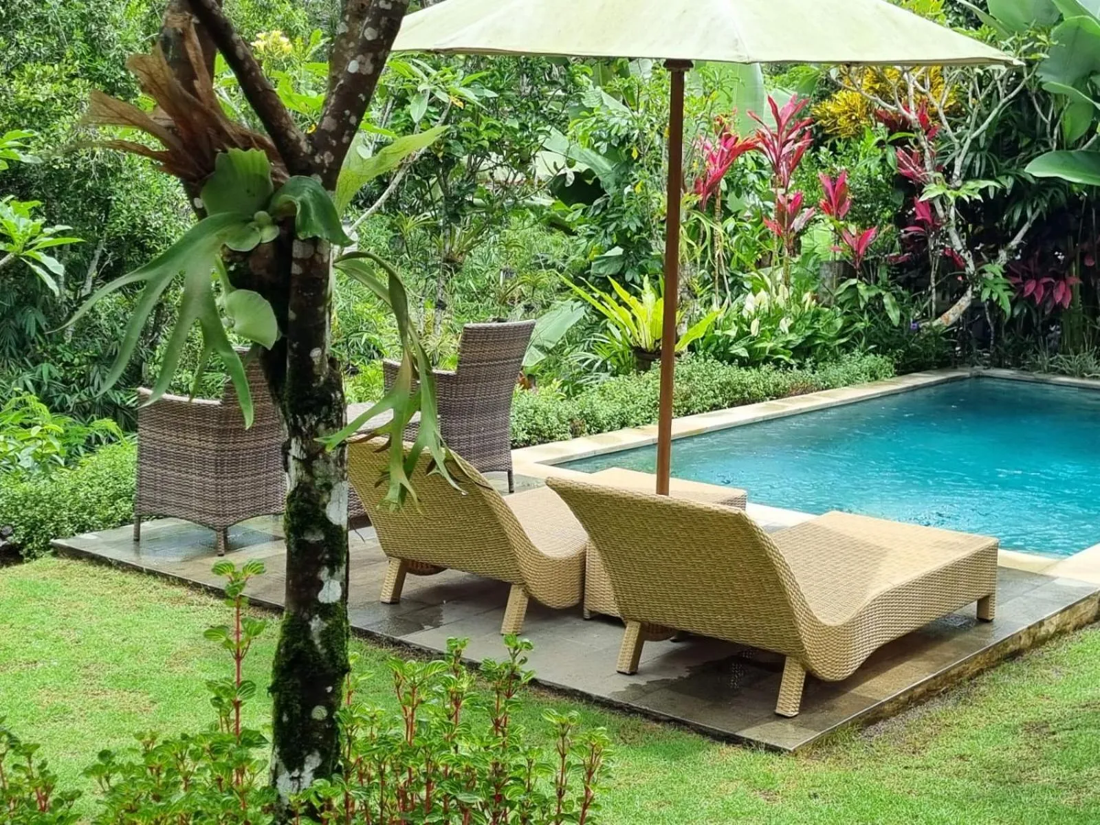 Swimming pool in Campuhan Guesthouse