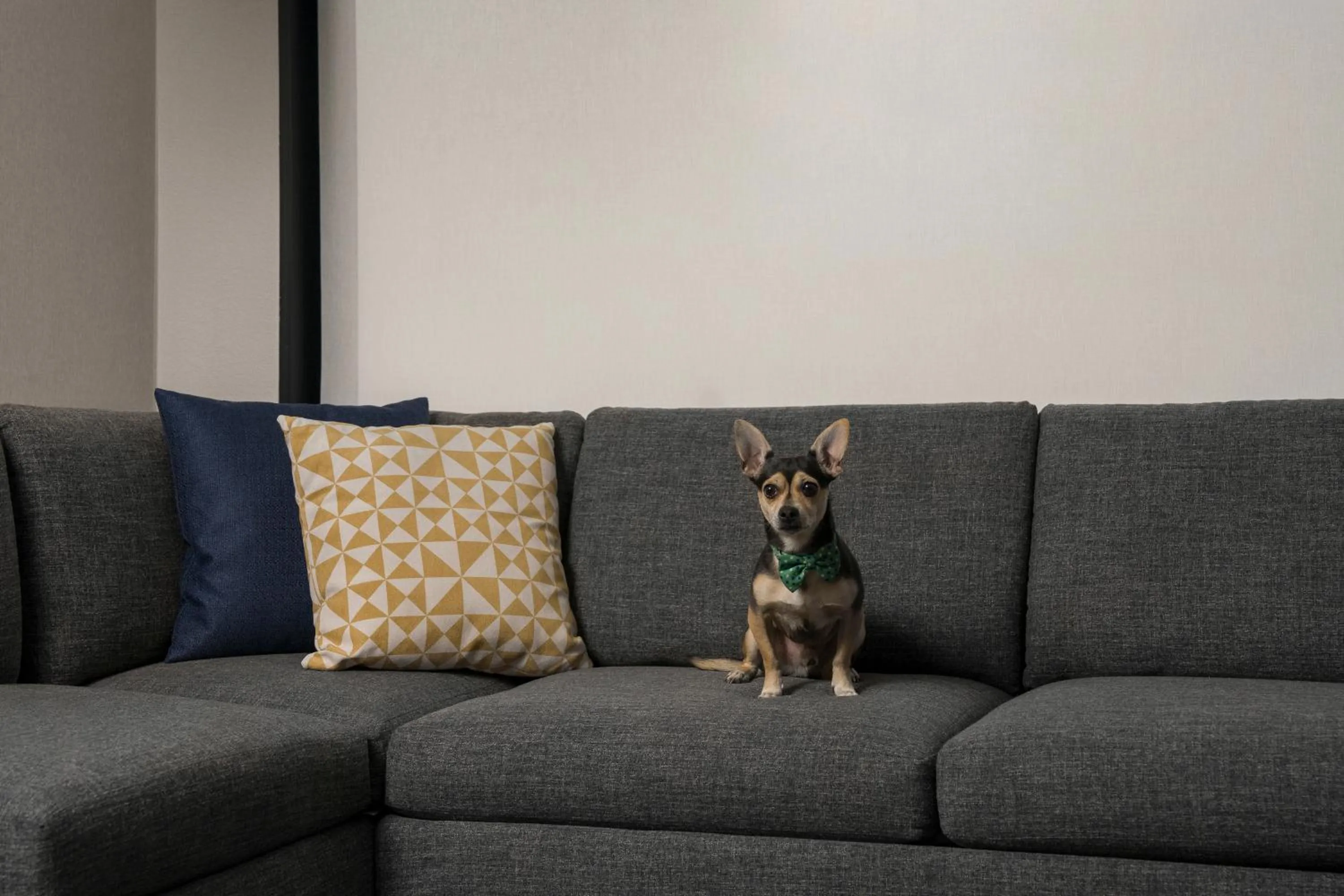 Pets in Hyatt Place Denver Cherry Creek