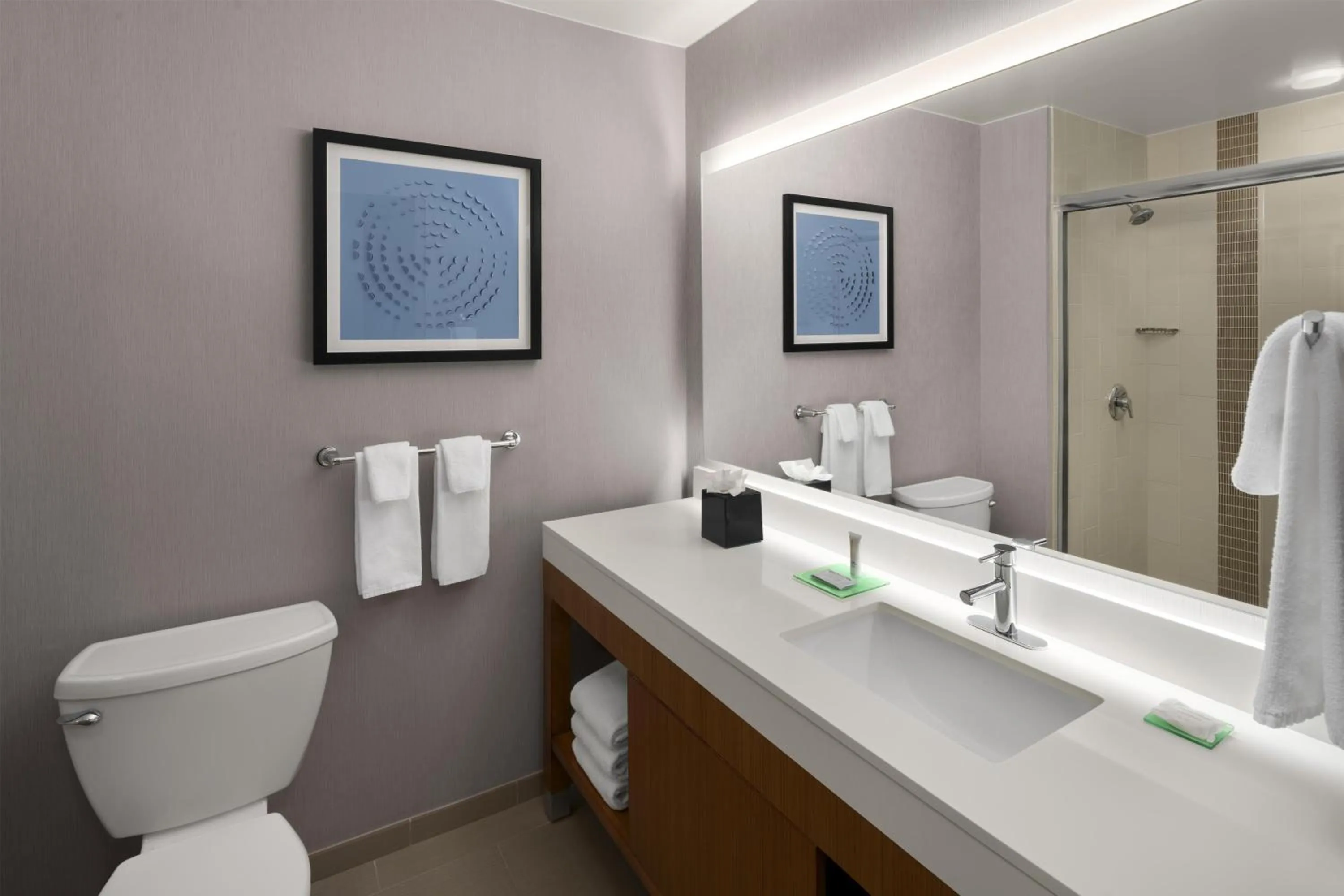 Bathroom in Hyatt Place Denver Cherry Creek