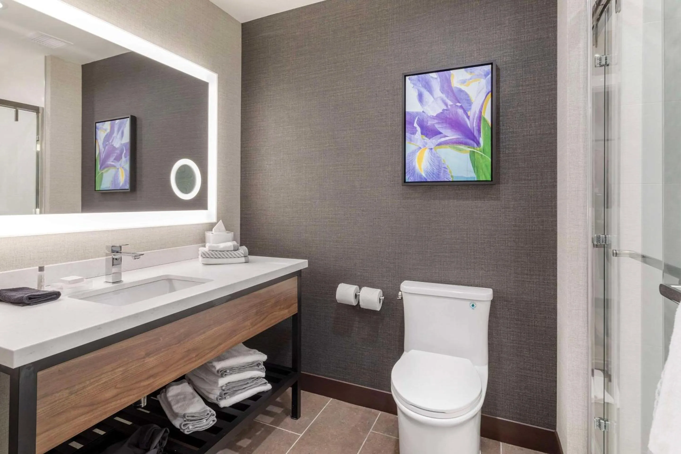 Bedroom in Cambria Hotel Pigeon Forge