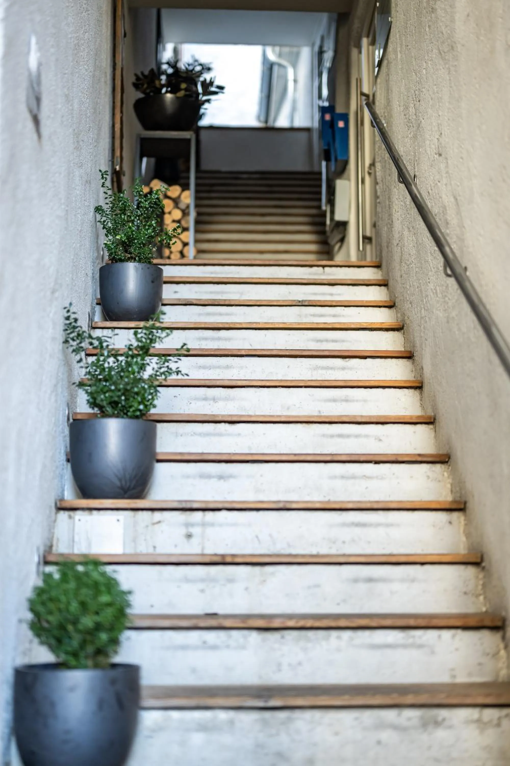 Property building in Hotel Goldene Steig