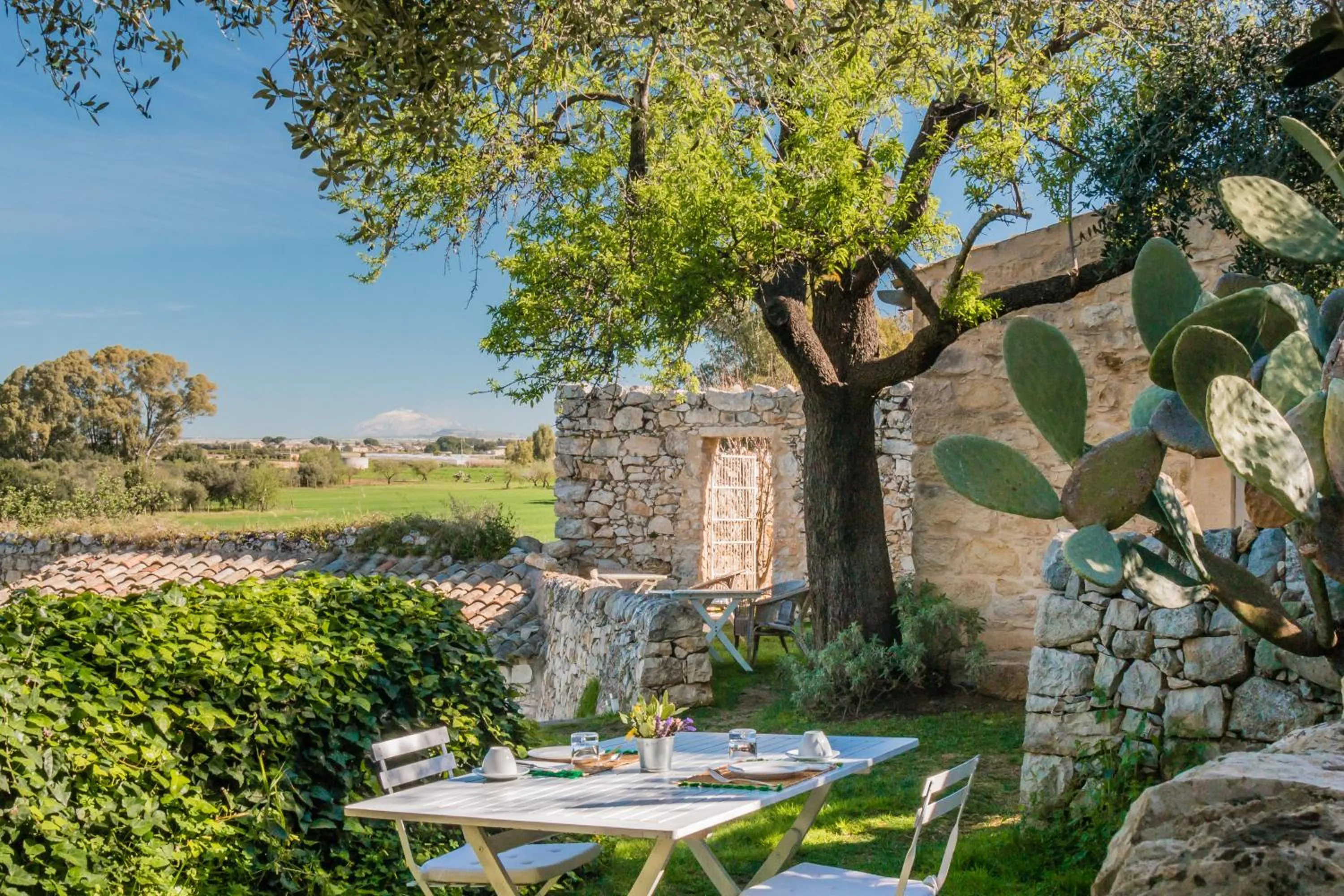 Spring in Baglio Occhipinti