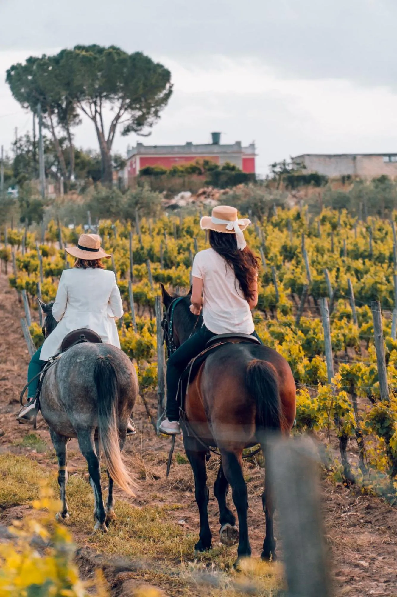 People in Baglio Occhipinti