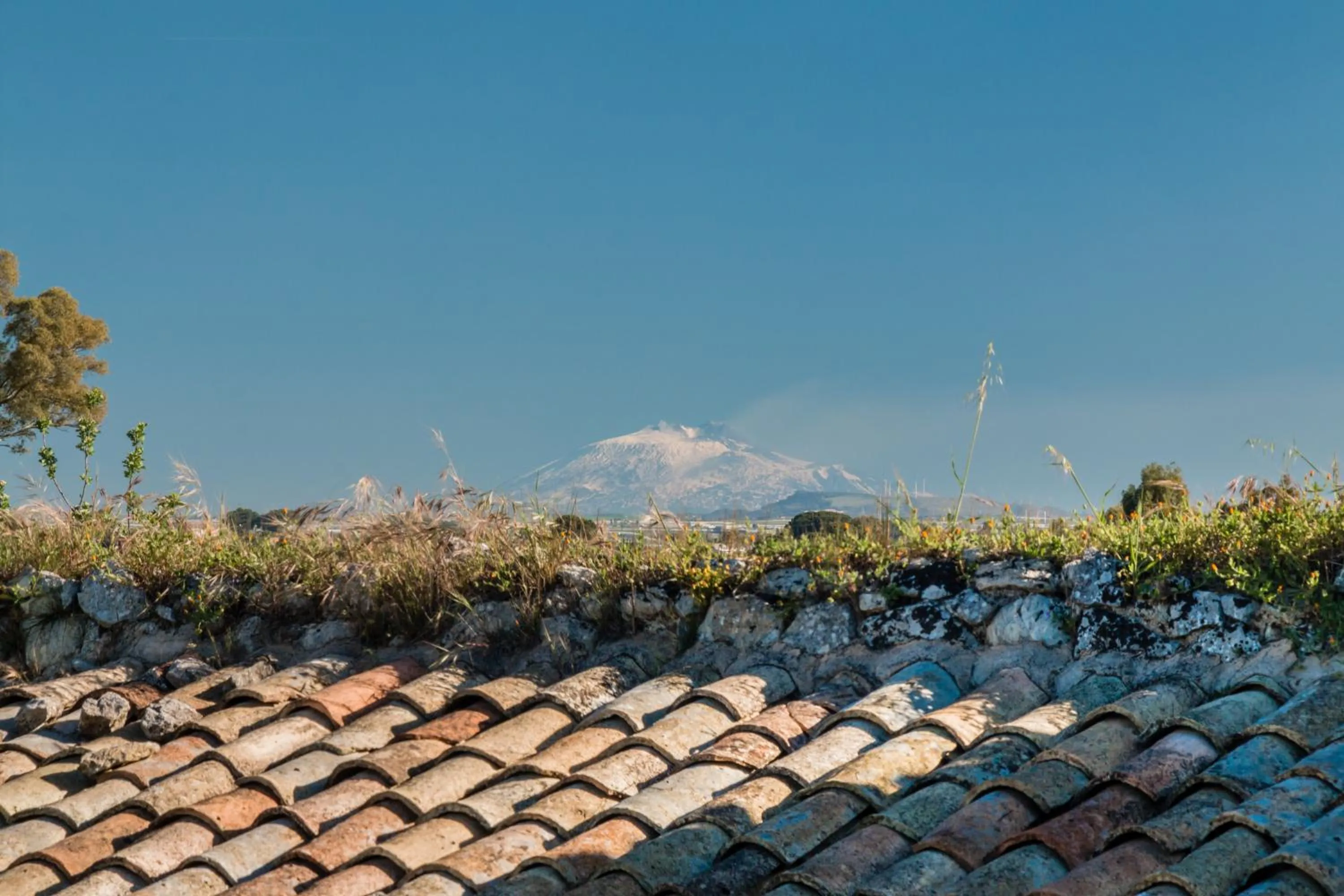 Day in Baglio Occhipinti