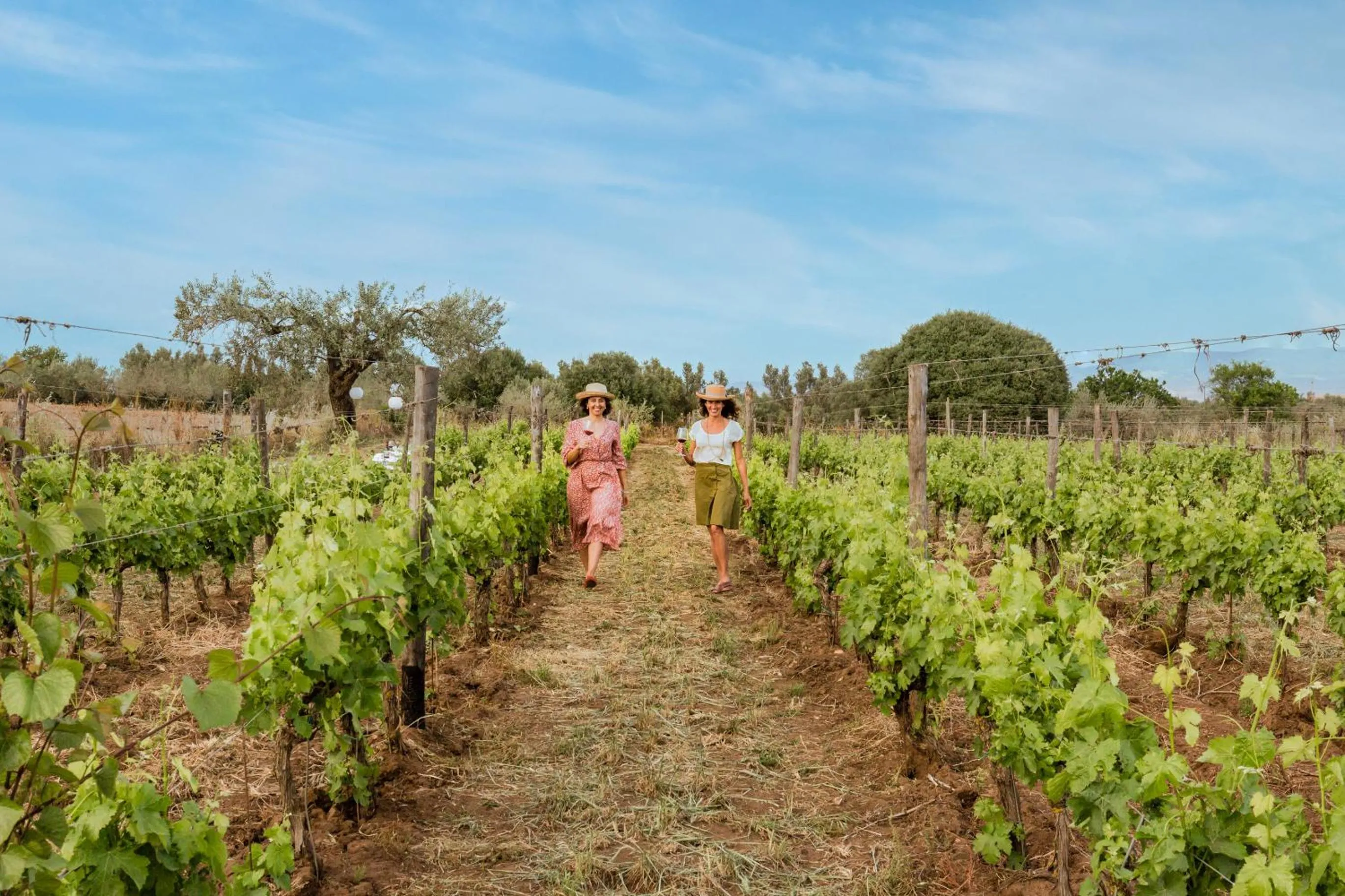 Natural landscape in Baglio Occhipinti