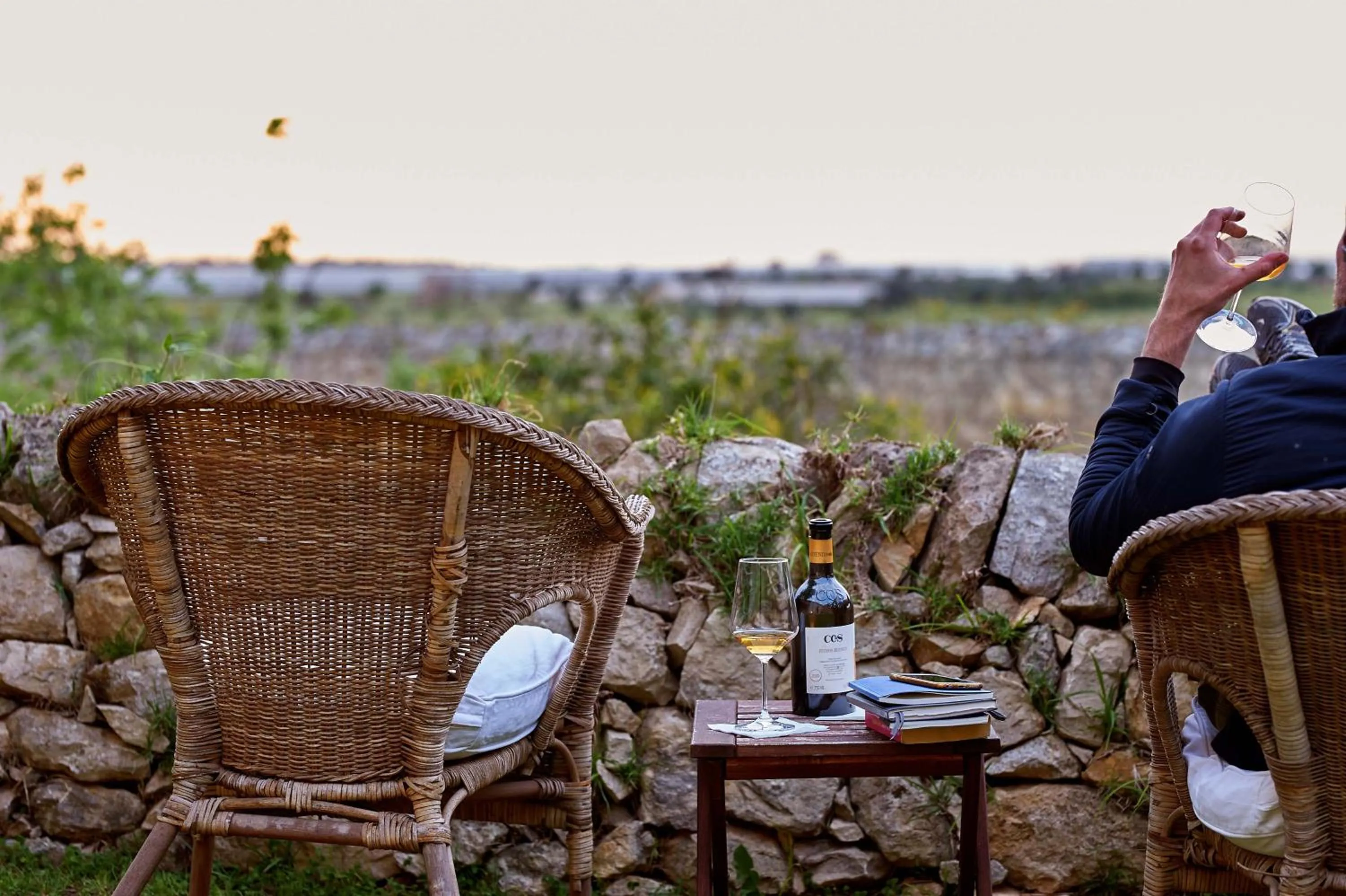 Lounge or bar in Baglio Occhipinti