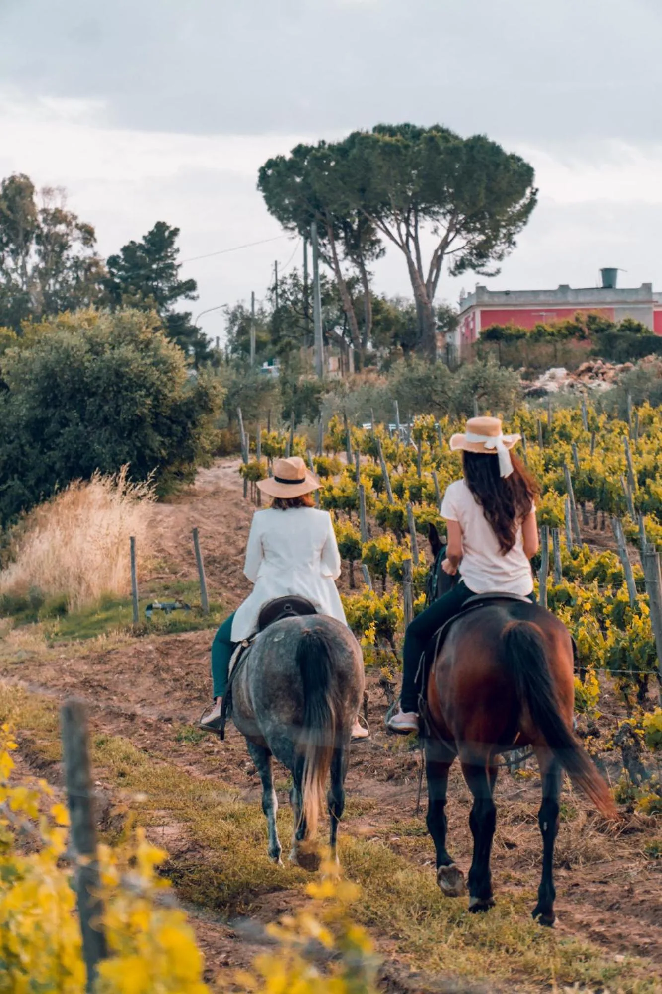 Horse-riding in Baglio Occhipinti