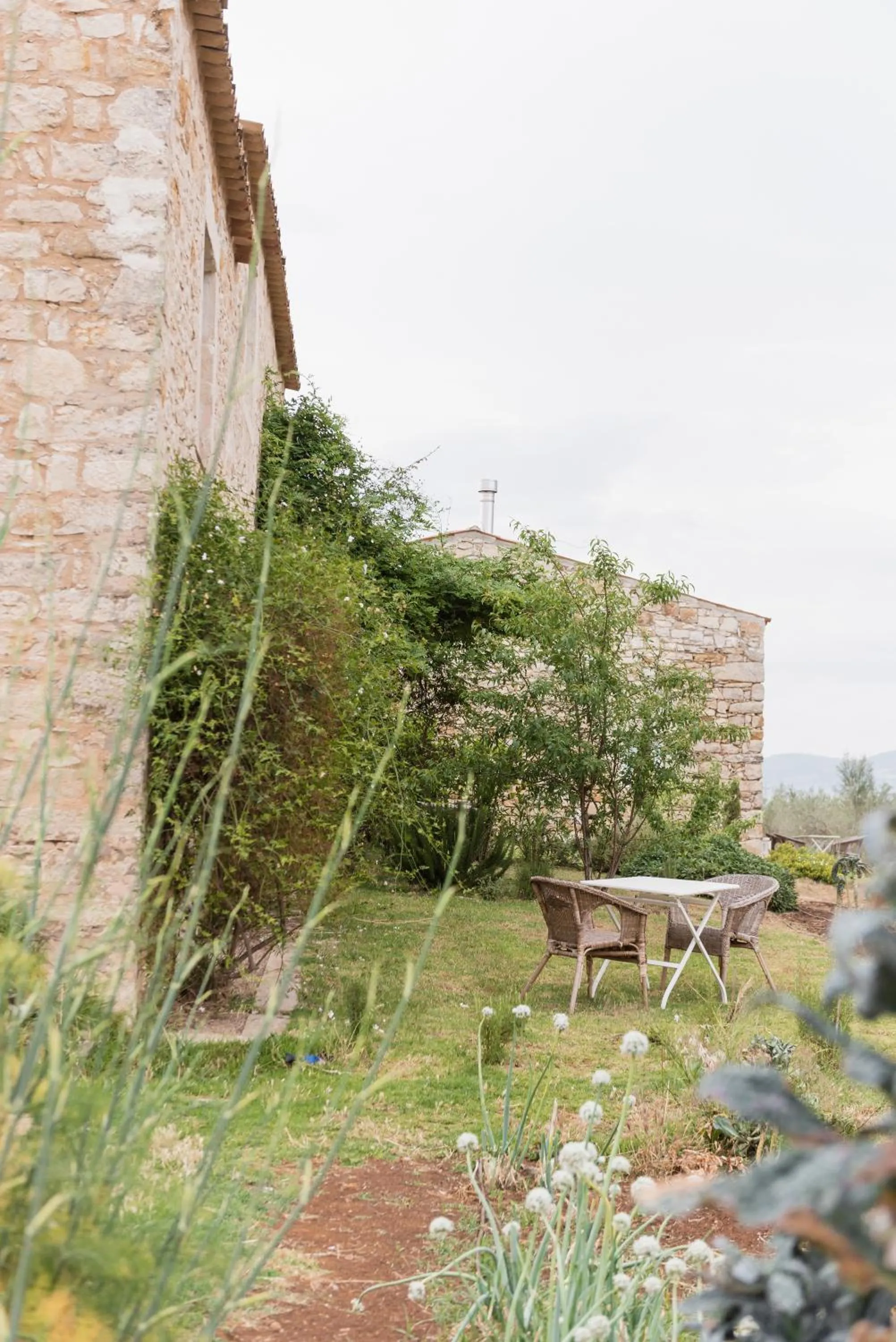 View (from property/room) in Baglio Occhipinti