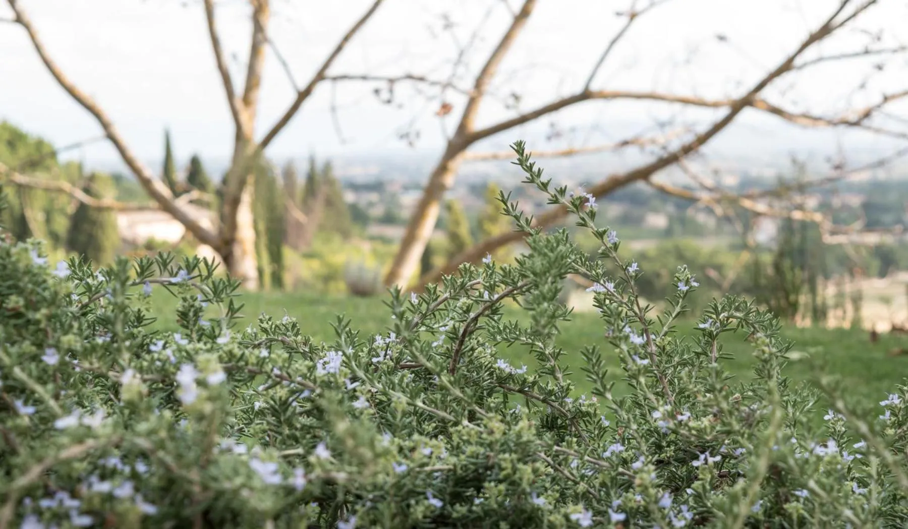 Garden in B&B Cantico Delle Creature