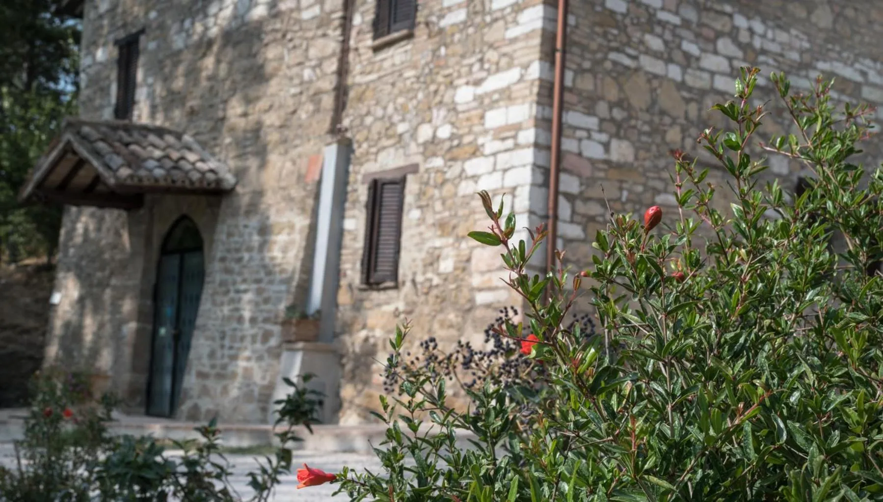 Facade/entrance in B&B Cantico Delle Creature