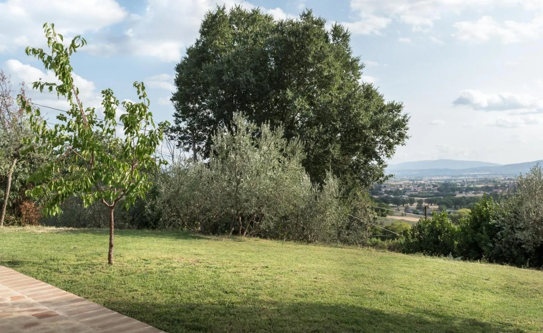 Garden in B&B Cantico Delle Creature
