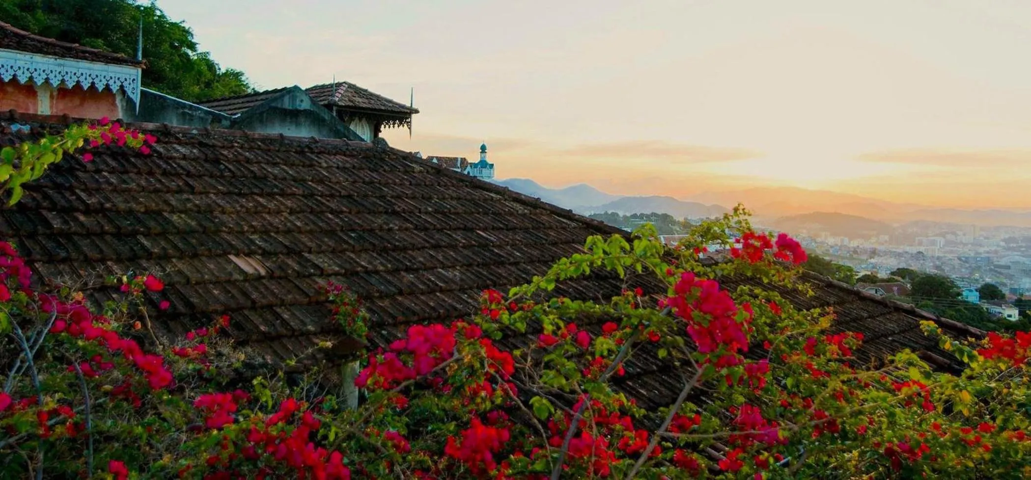 Day in Inn House Santa Teresa