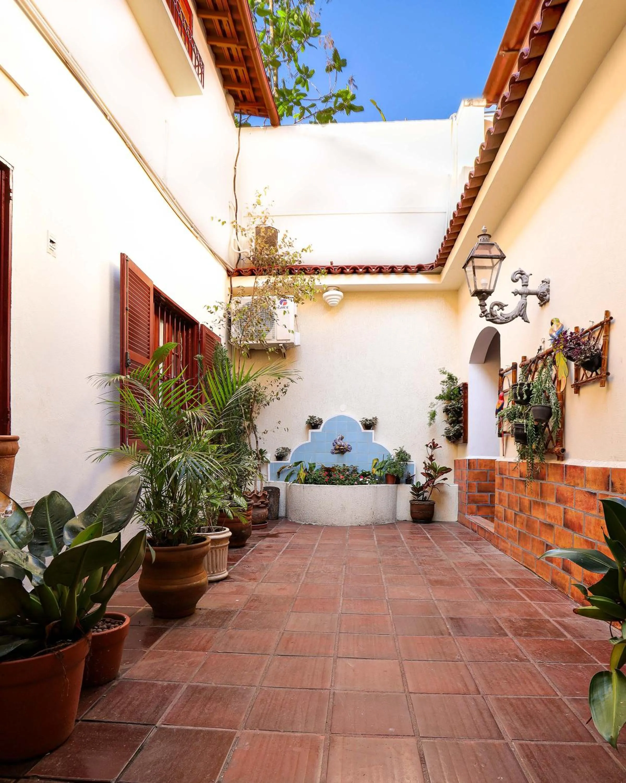 Garden in Inn House Santa Teresa