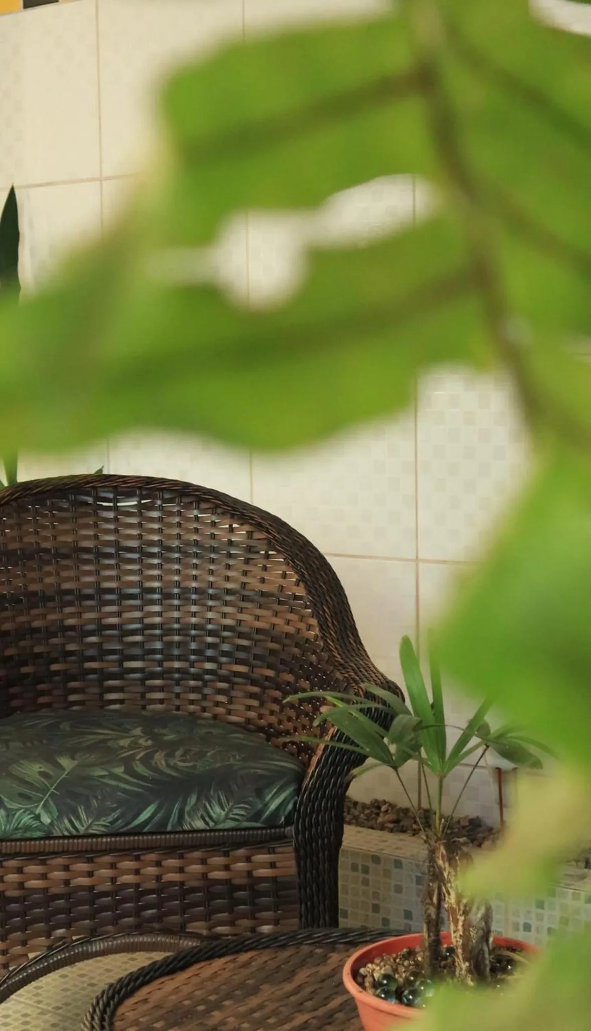 Garden view in Big Hotel Florianópolis