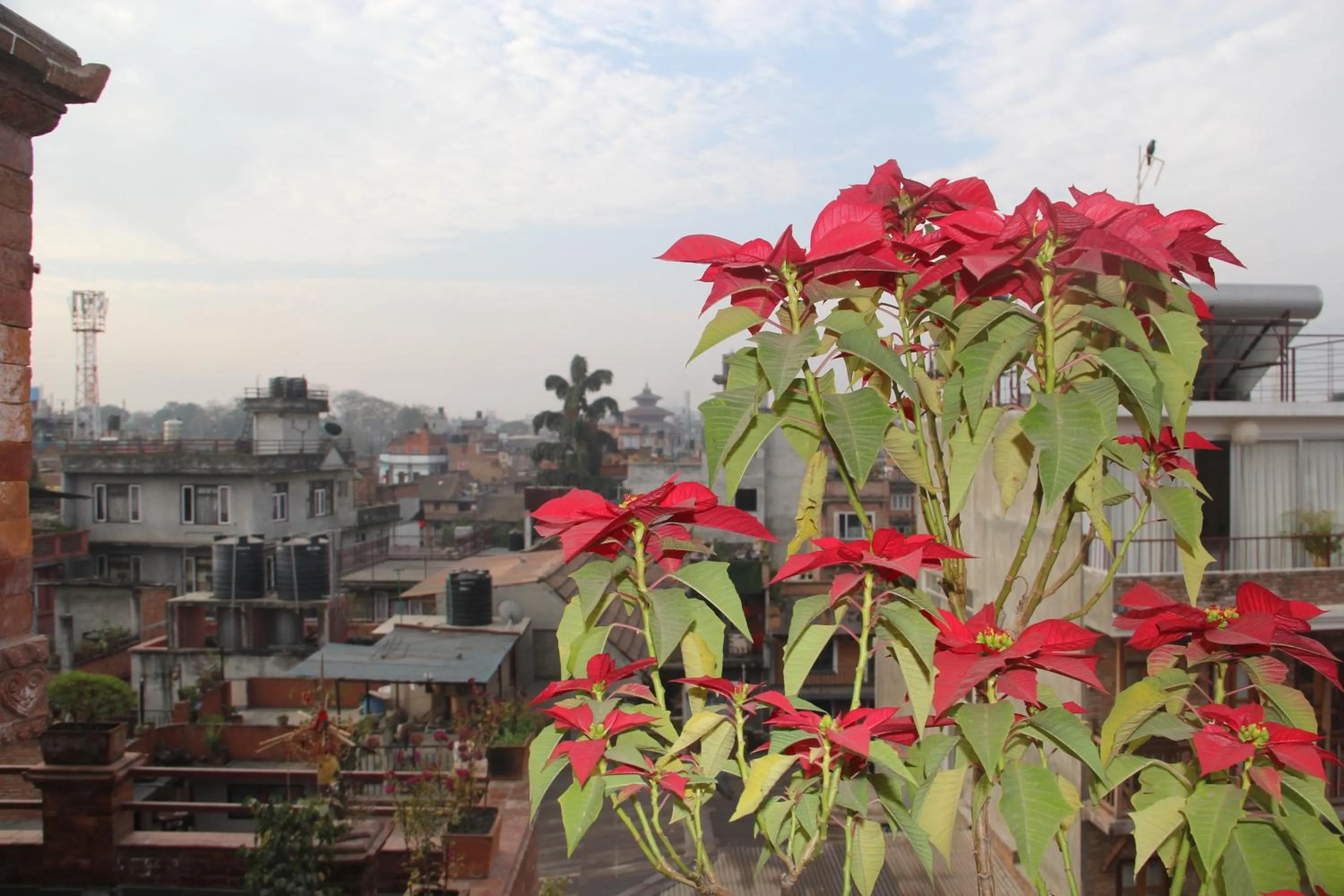 View (from property/room) in k2Homes