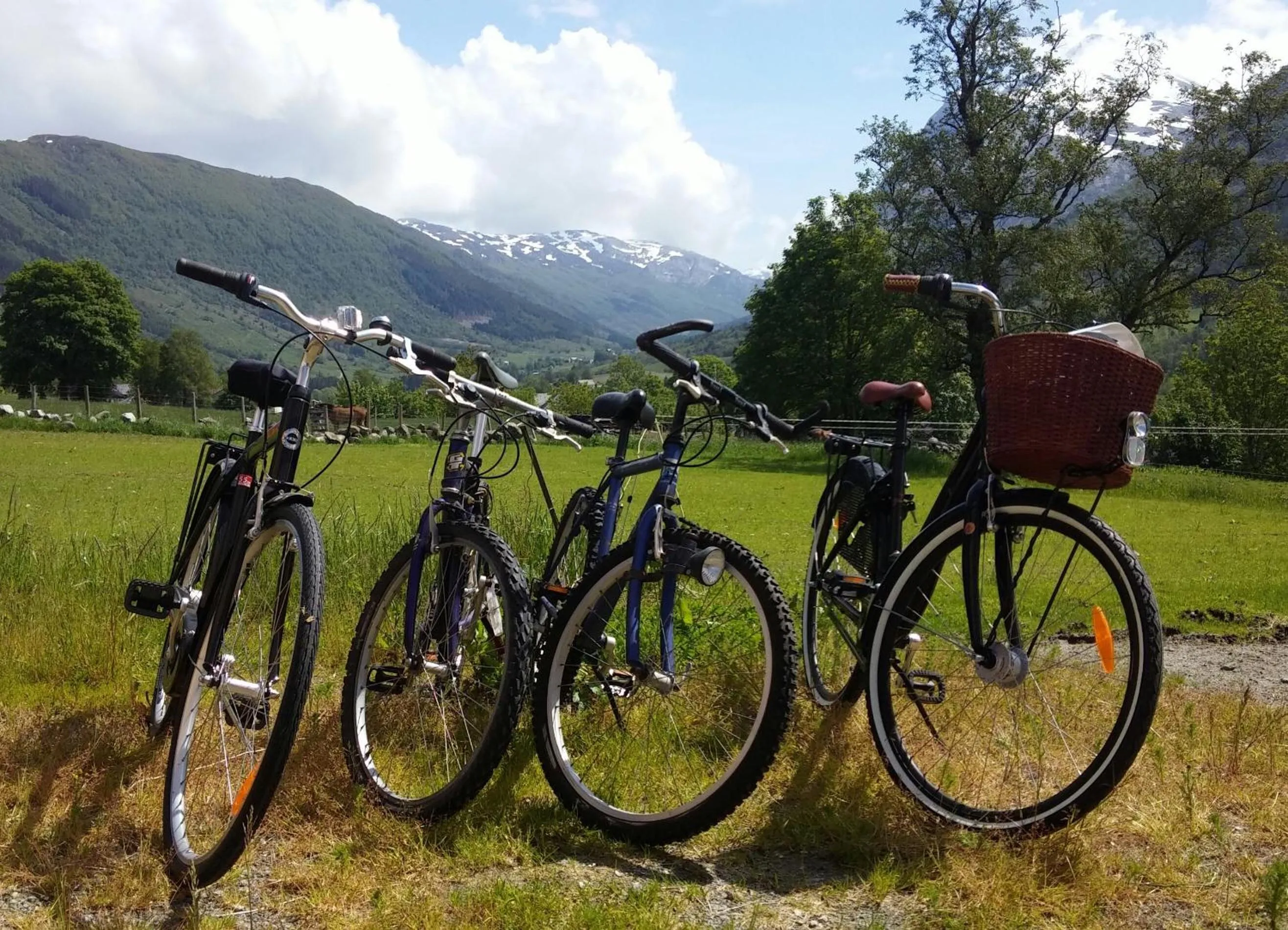 Cycling in Dønhaug Gjestegard