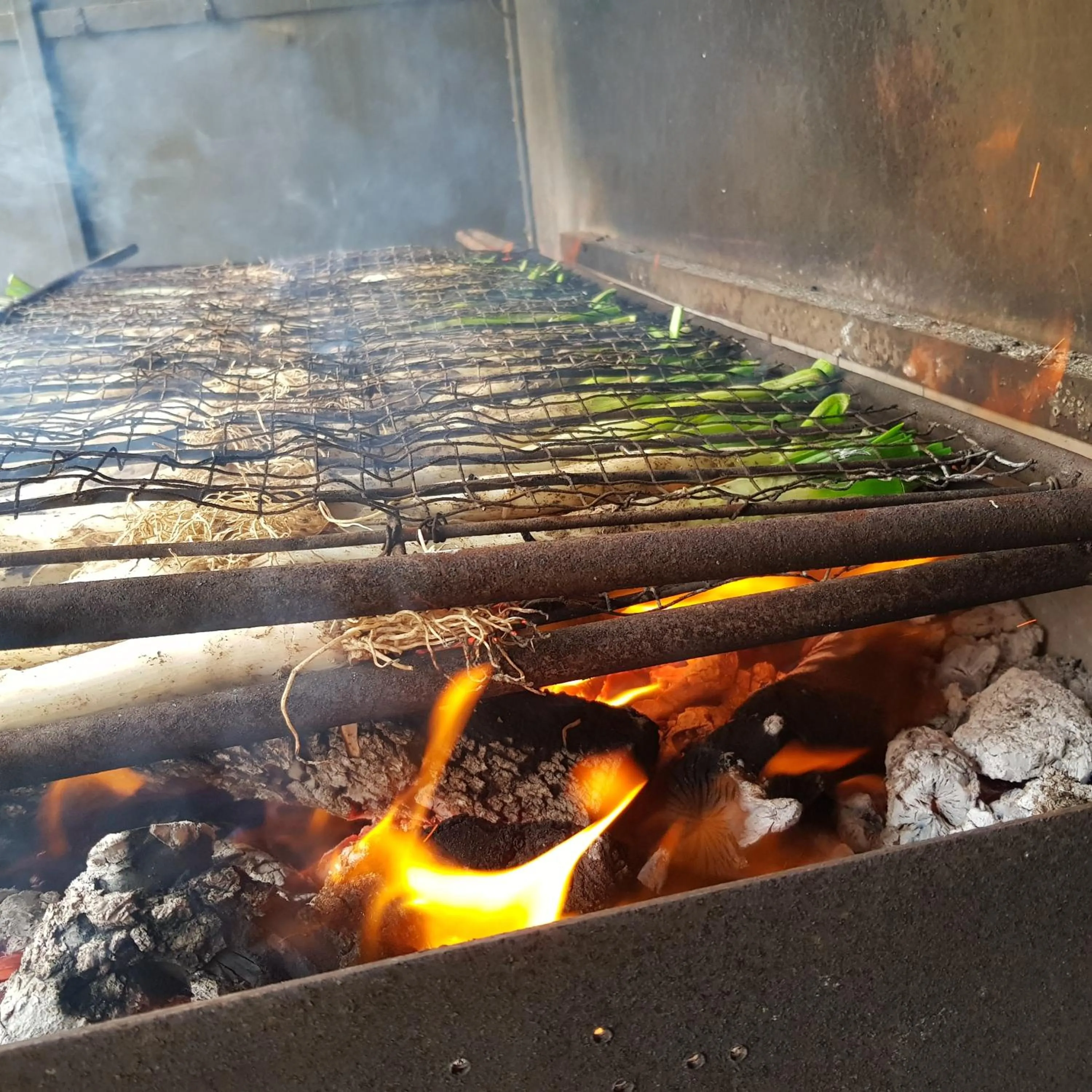 BBQ facilities in Monestir de Les Avellanes
