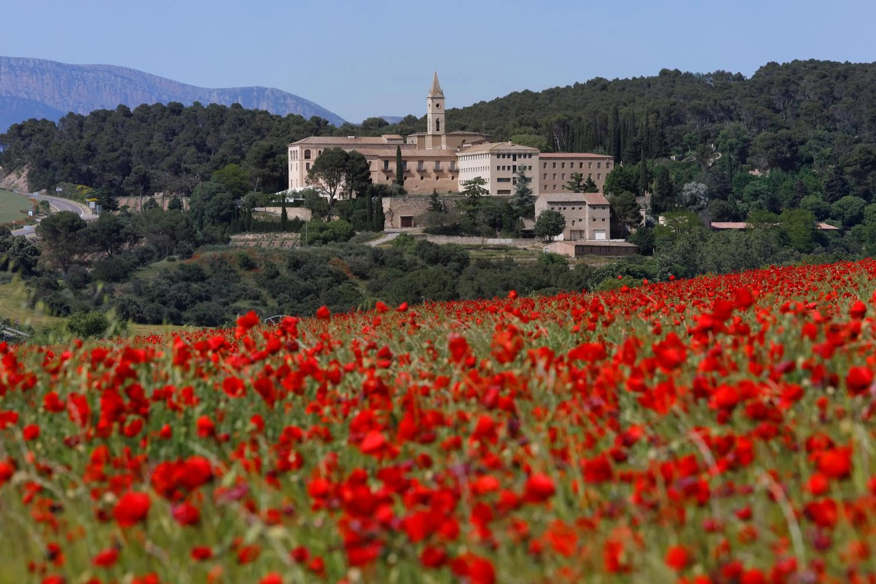 Natural landscape in Monestir de Les Avellanes