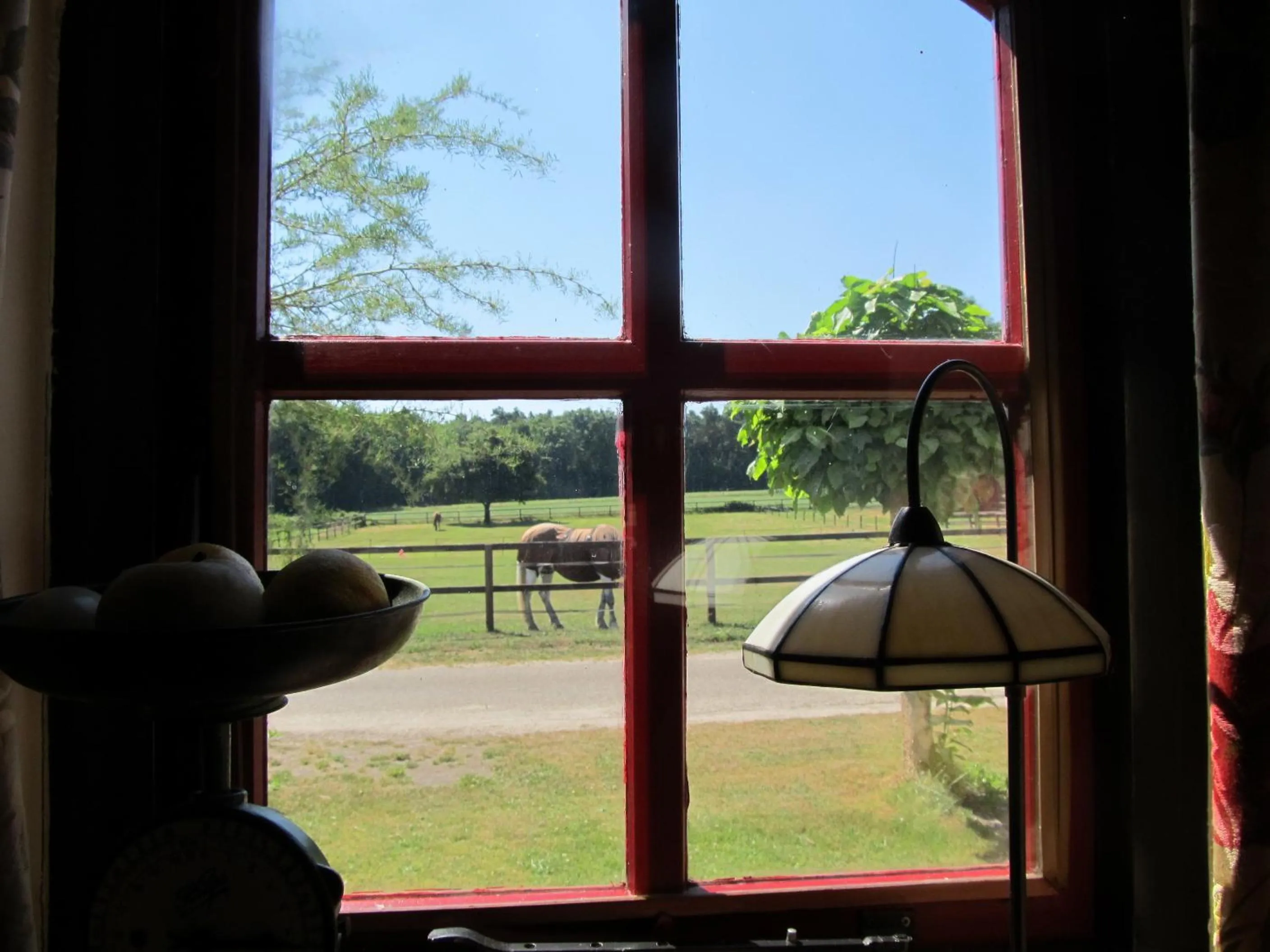 Area and facilities in B&B Het Bakhuis