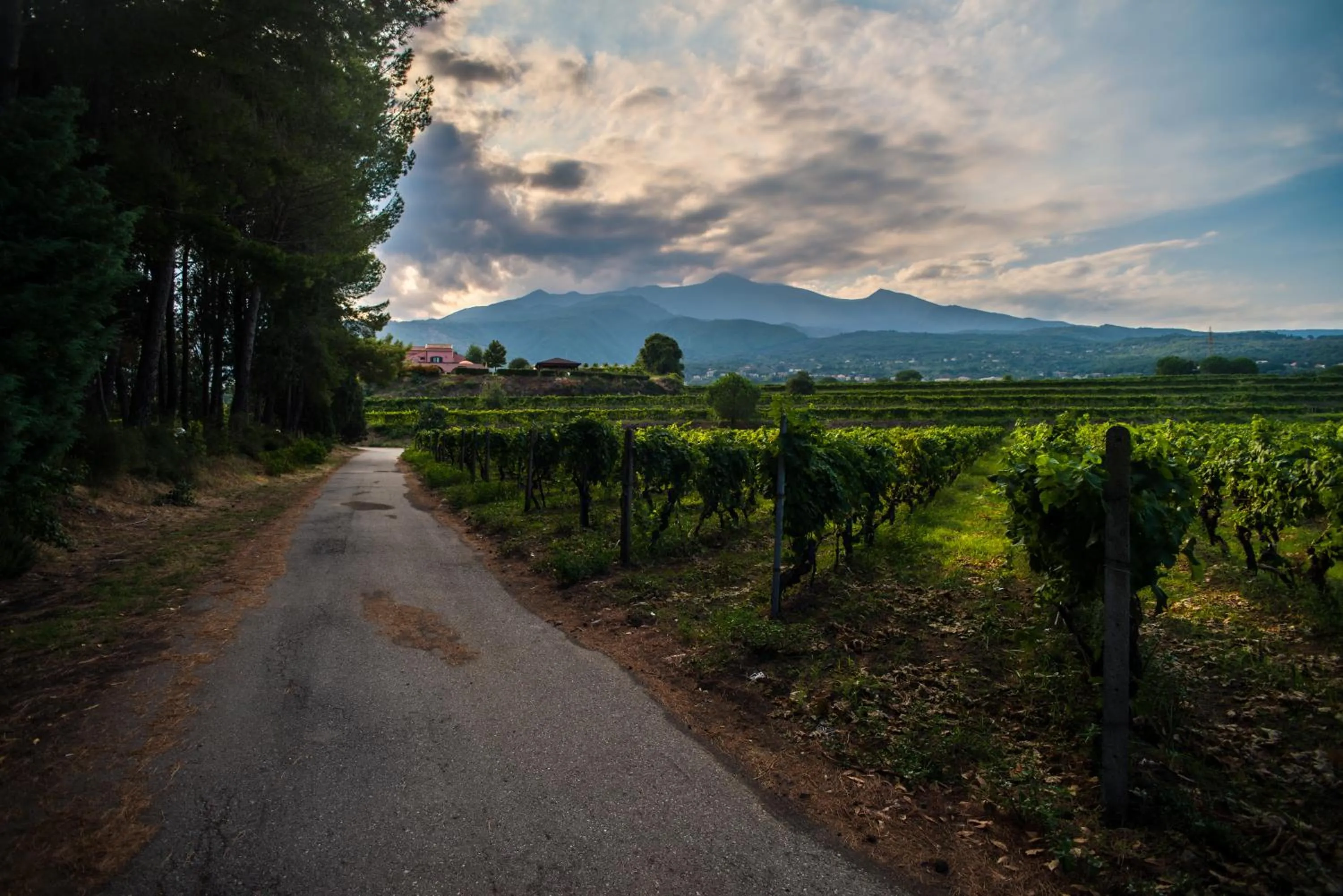 Mountain view in Agriturismo Tenuta San Michele