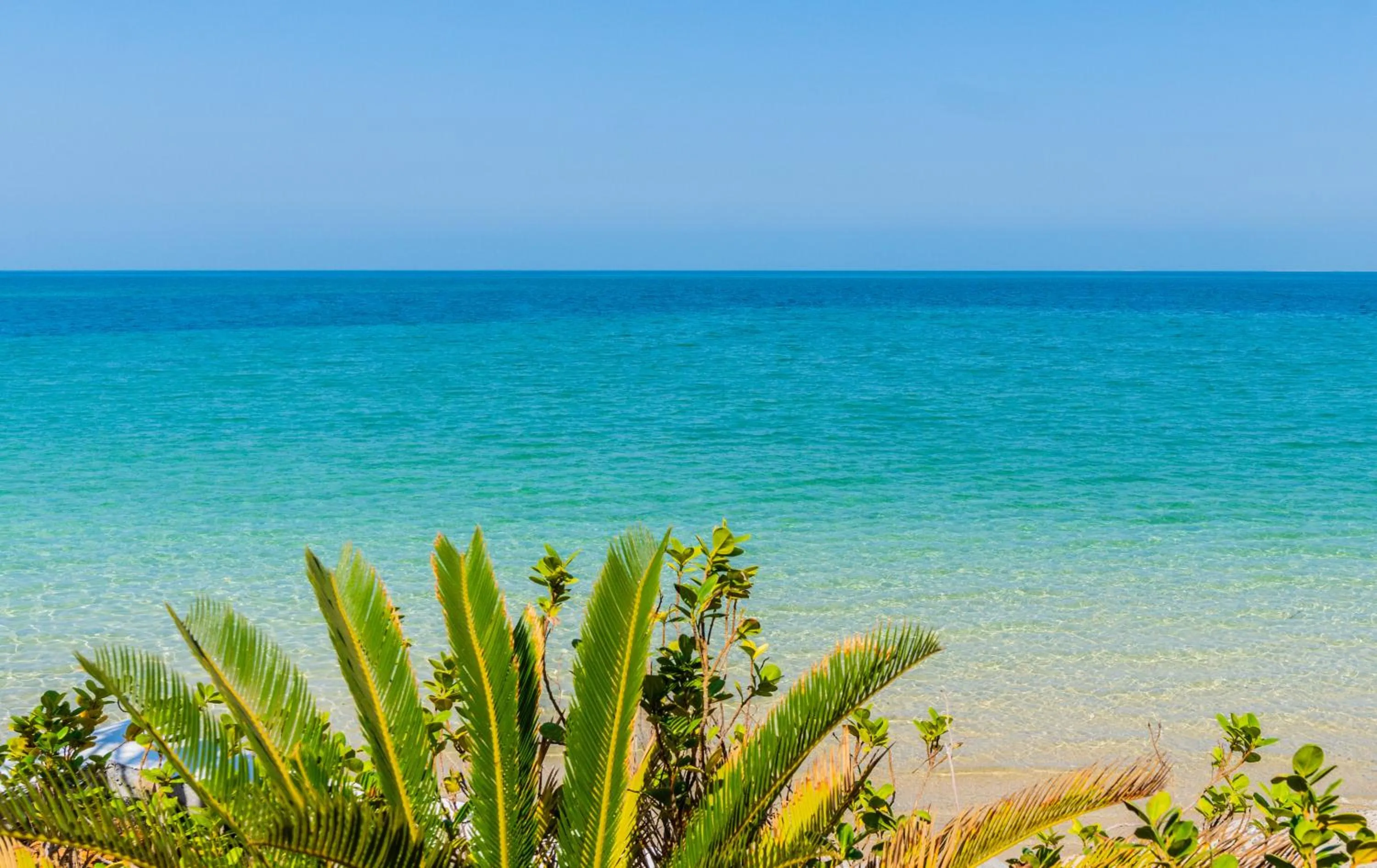 Beach in Beach Bay Hotel Mirfa