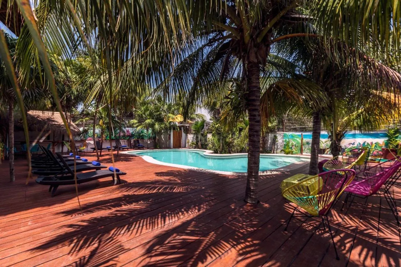 Pool view in La Palma Holbox