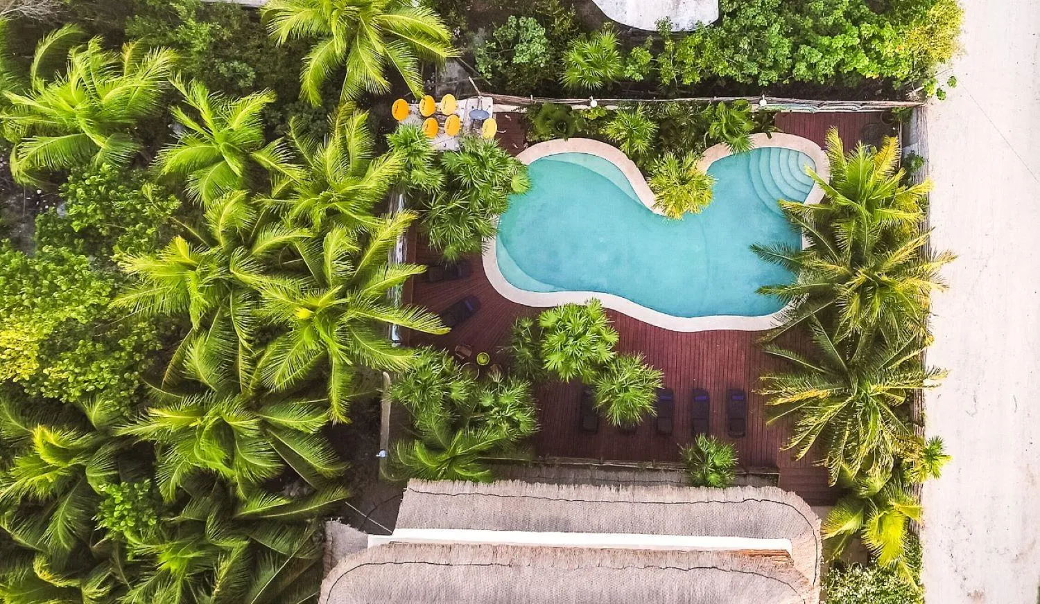 Swimming pool in La Palma Holbox