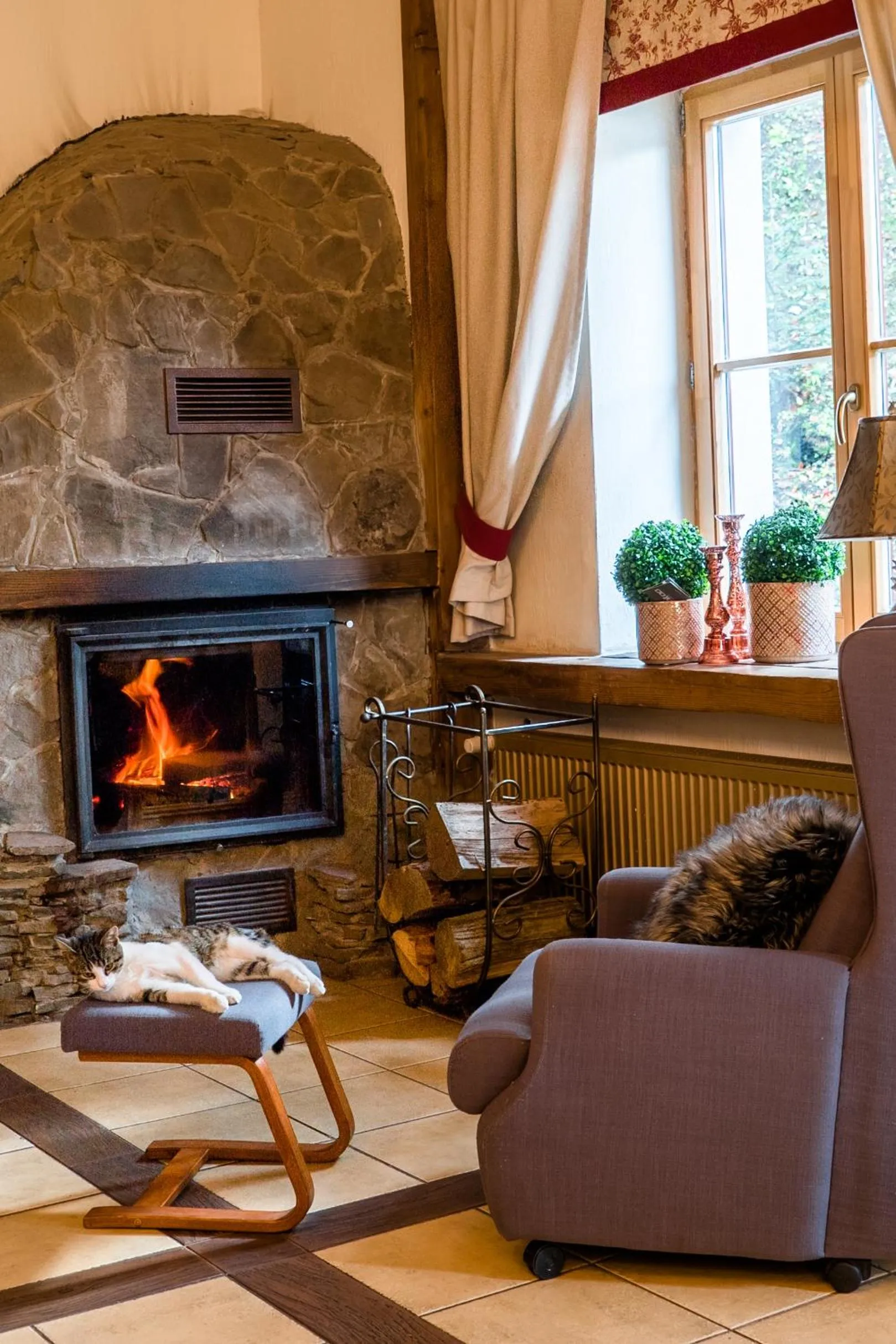 Restaurant/places to eat in Dworek Szwajcaria