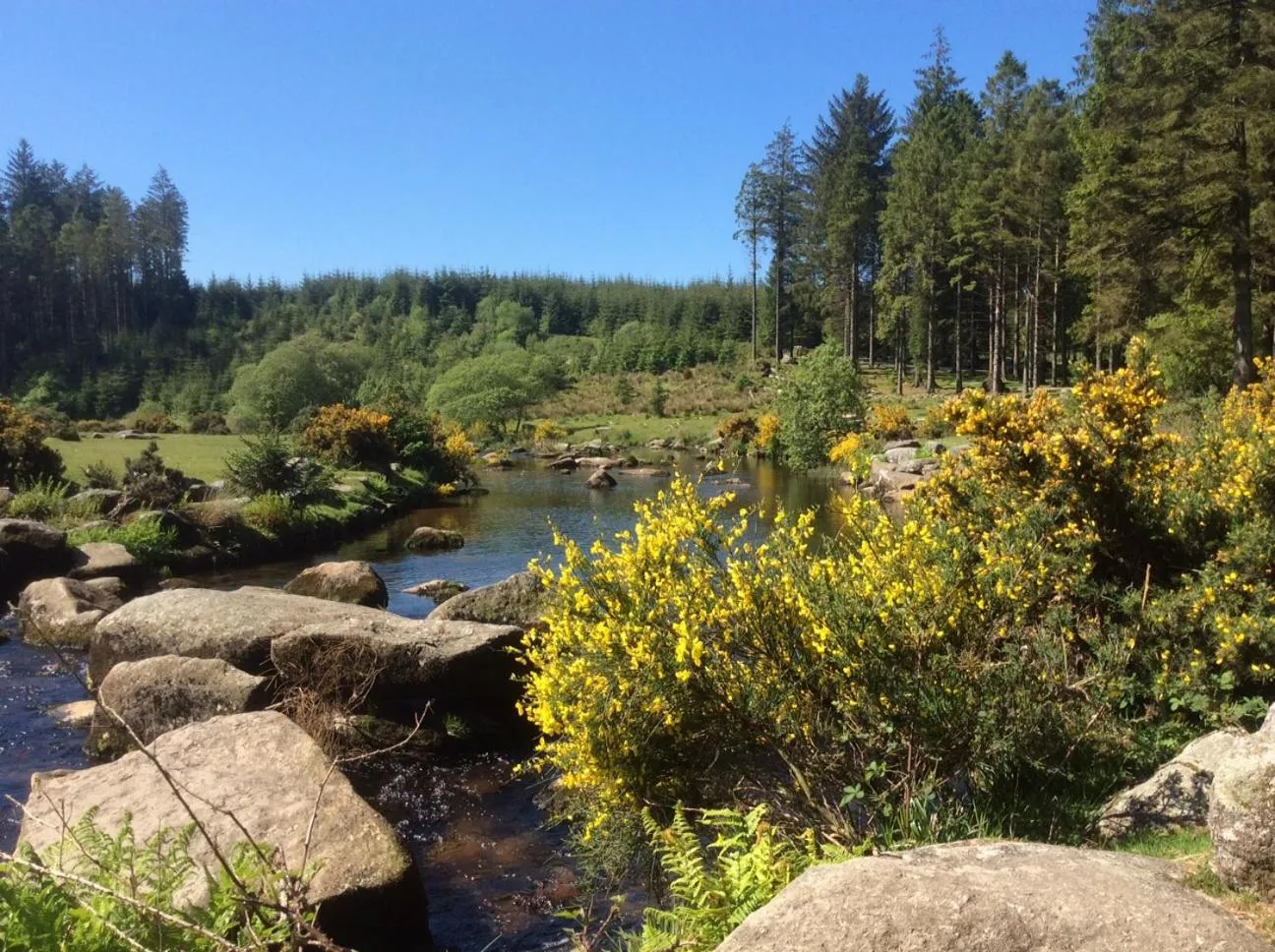 Natural landscape in Two Bridges Hotel