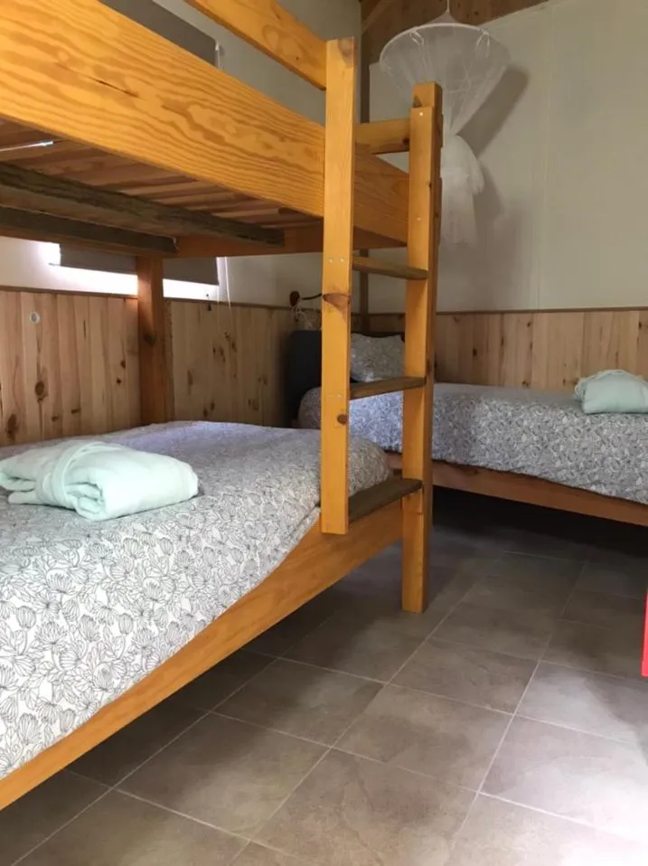 bunk bed, Bed in Casa o Futuro
