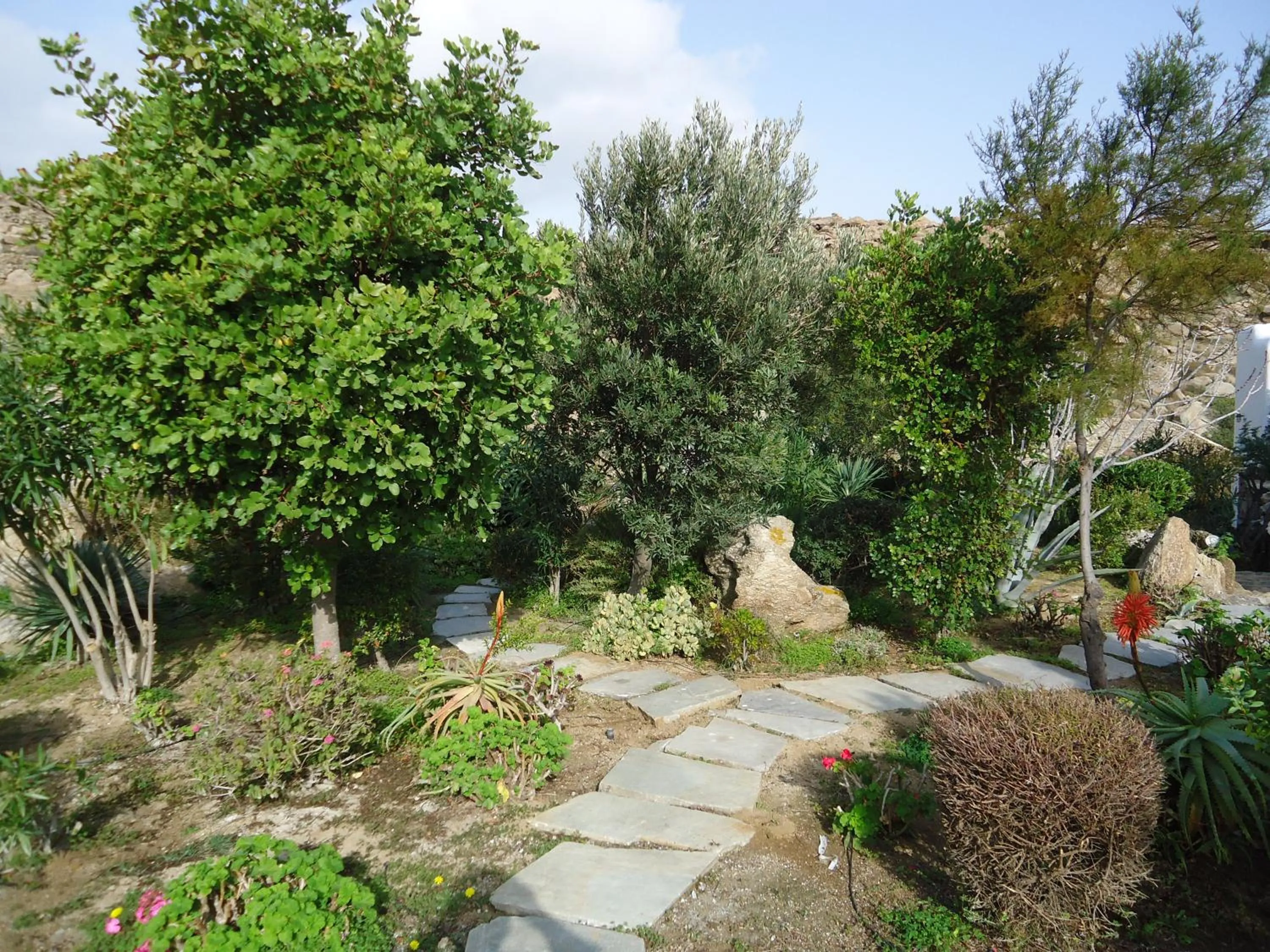 Garden in Nama Villas