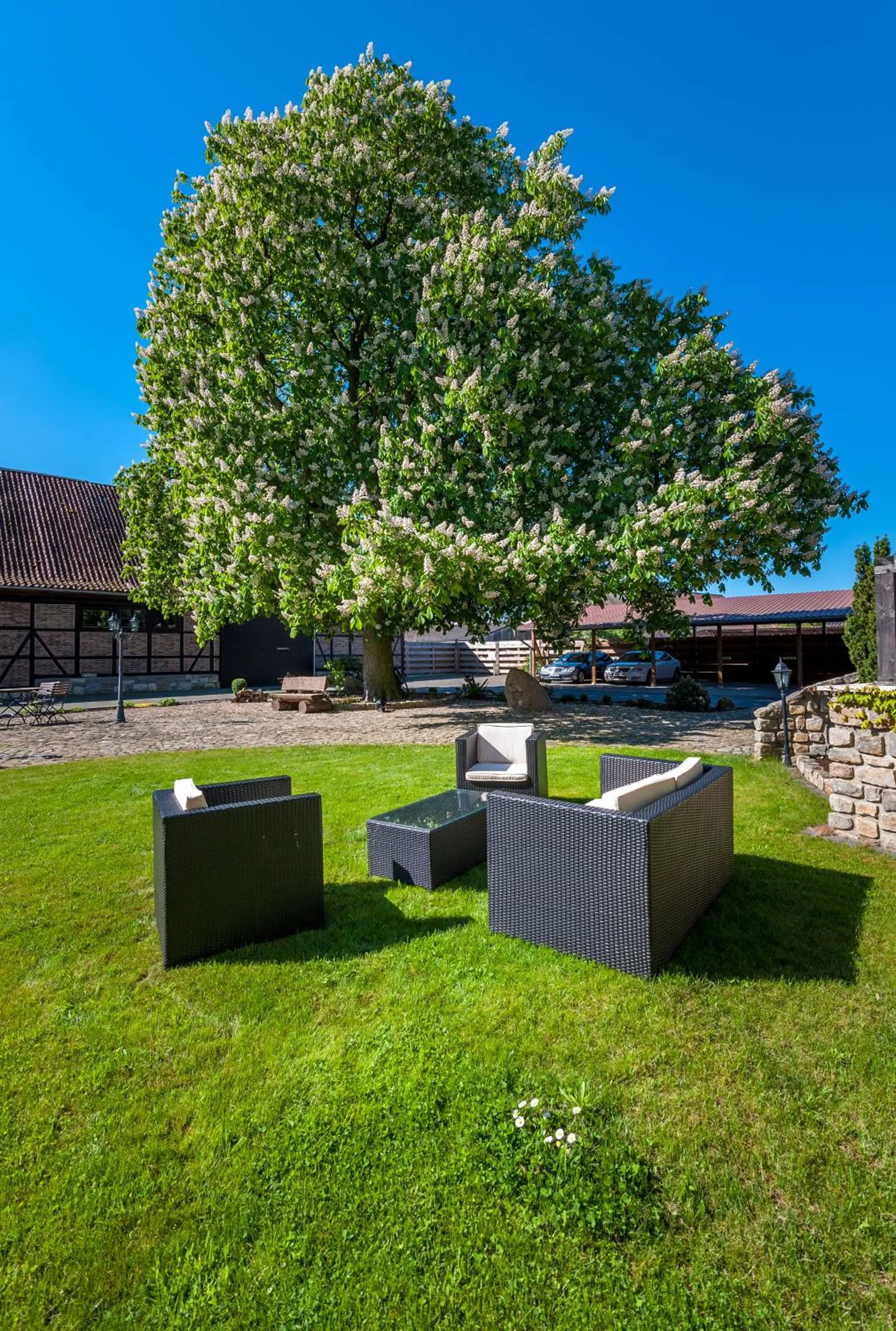 Garden in Die Edelkastanie