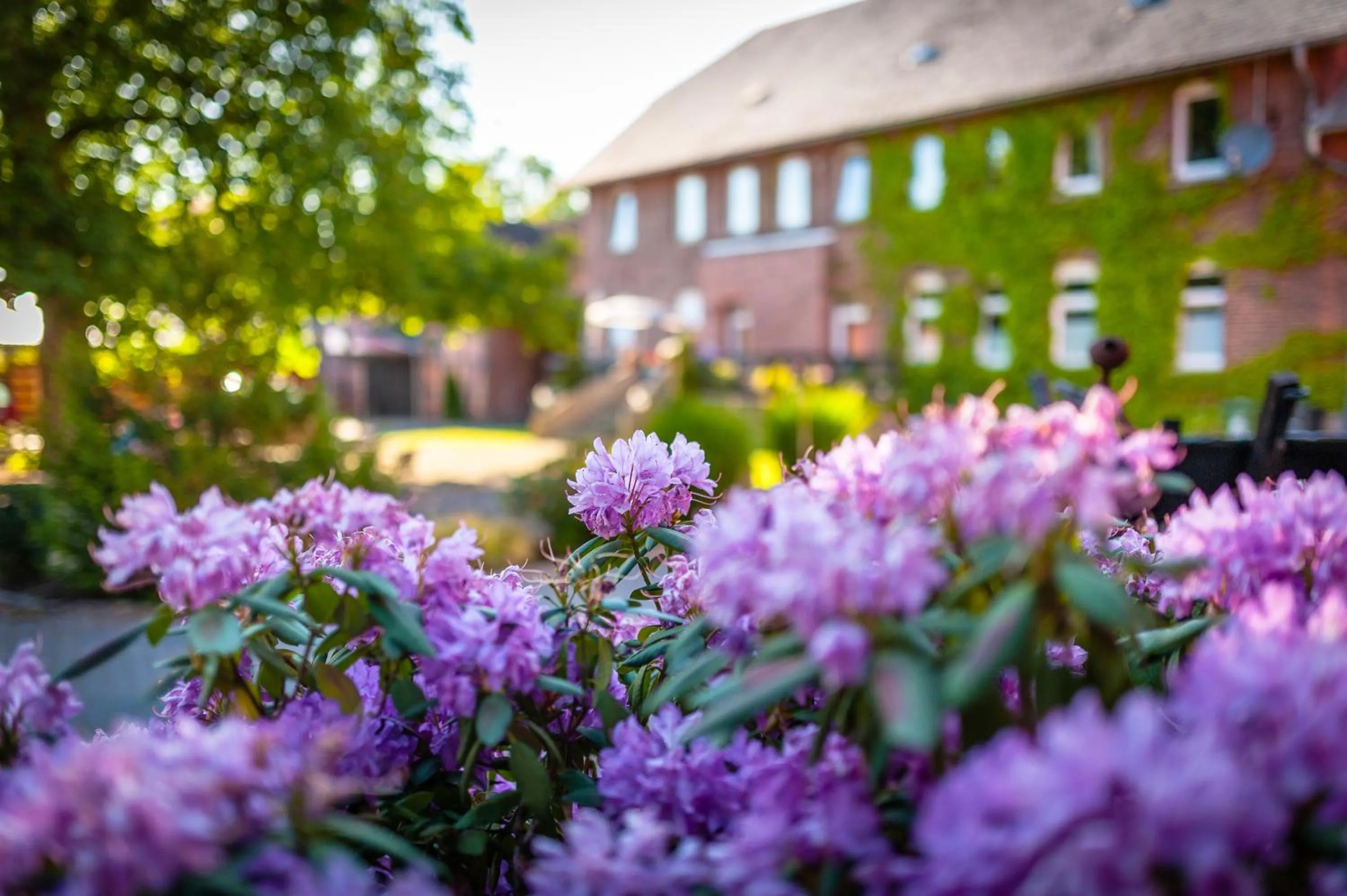 Facade/entrance in Die Edelkastanie