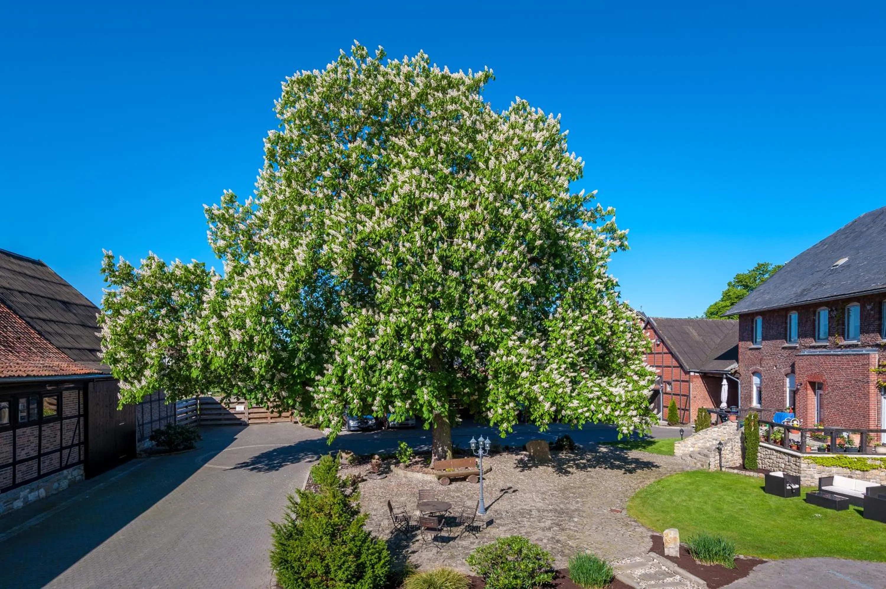 View (from property/room) in Die Edelkastanie
