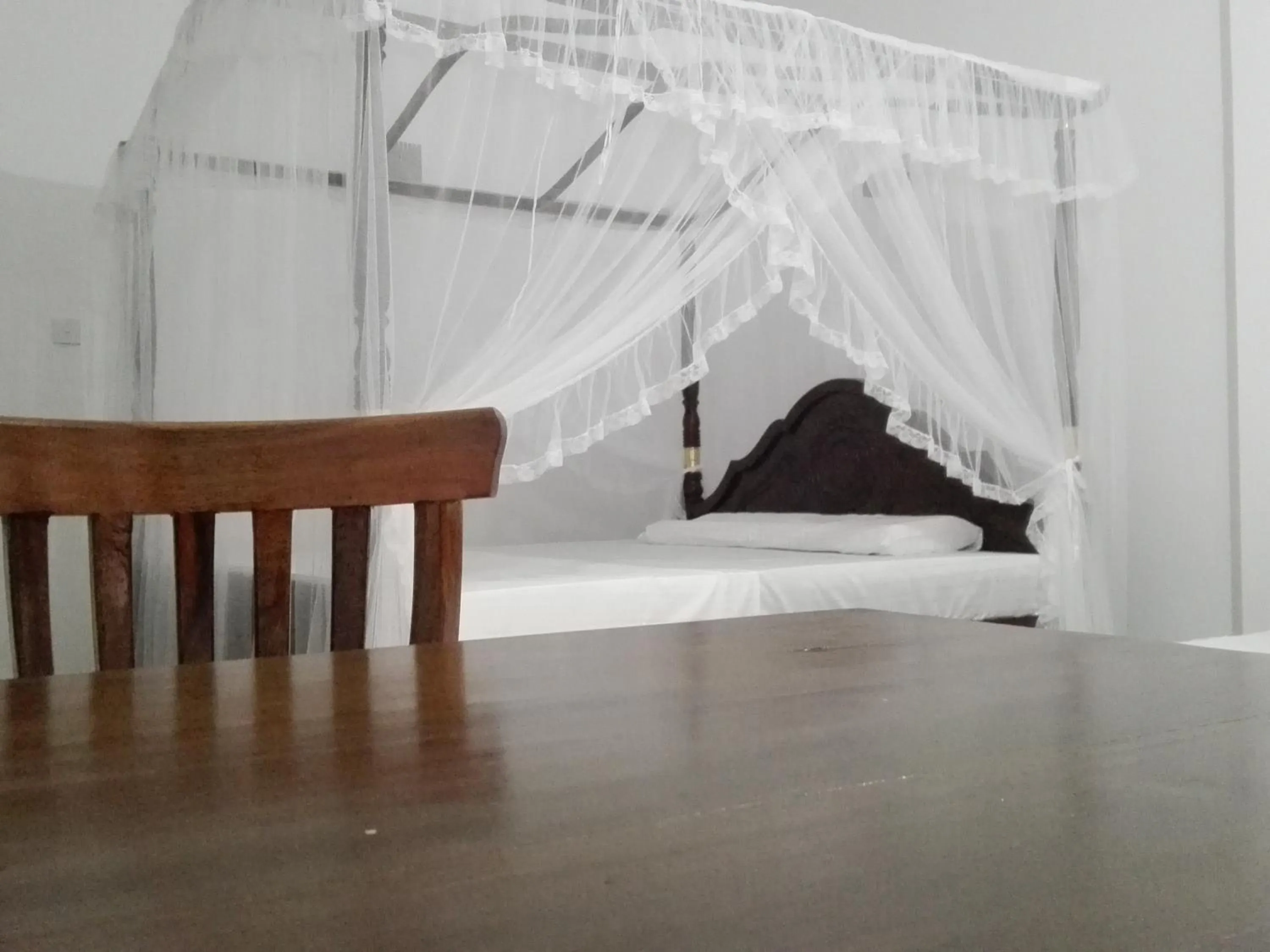 Property building in Mirissa Cocoon