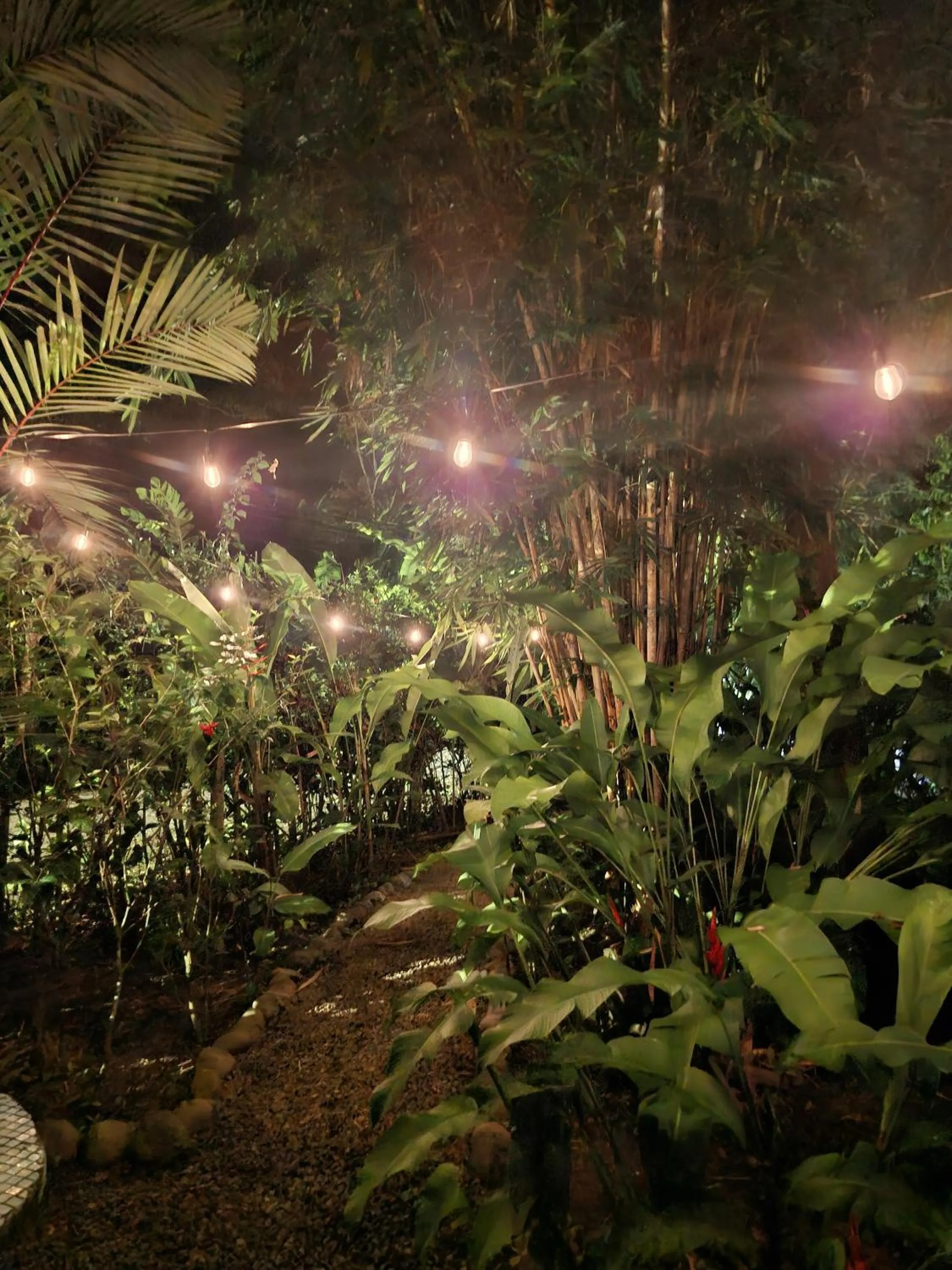 Night in El Jardin de Playa Negra