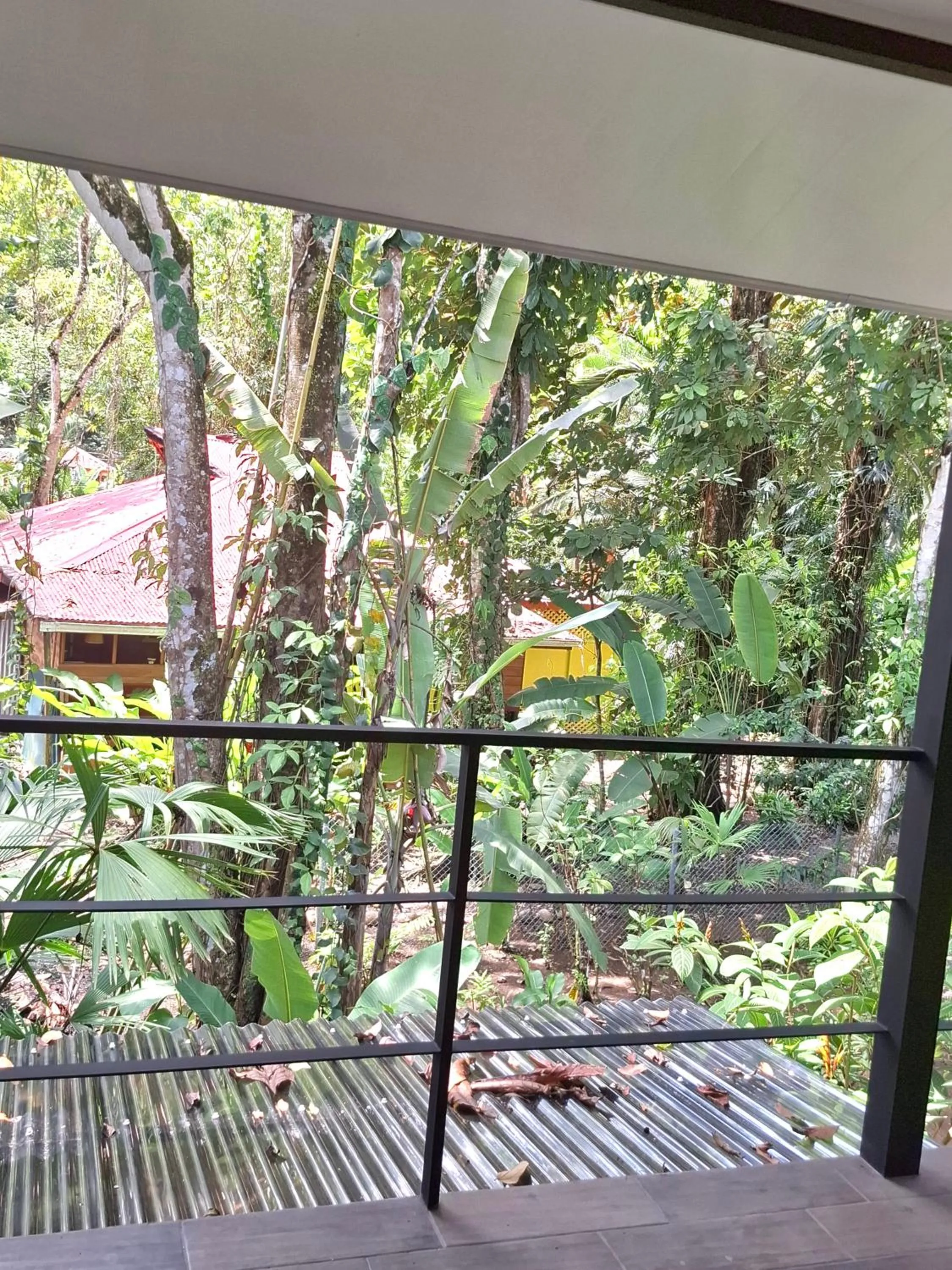 View (from property/room) in El Jardin de Playa Negra