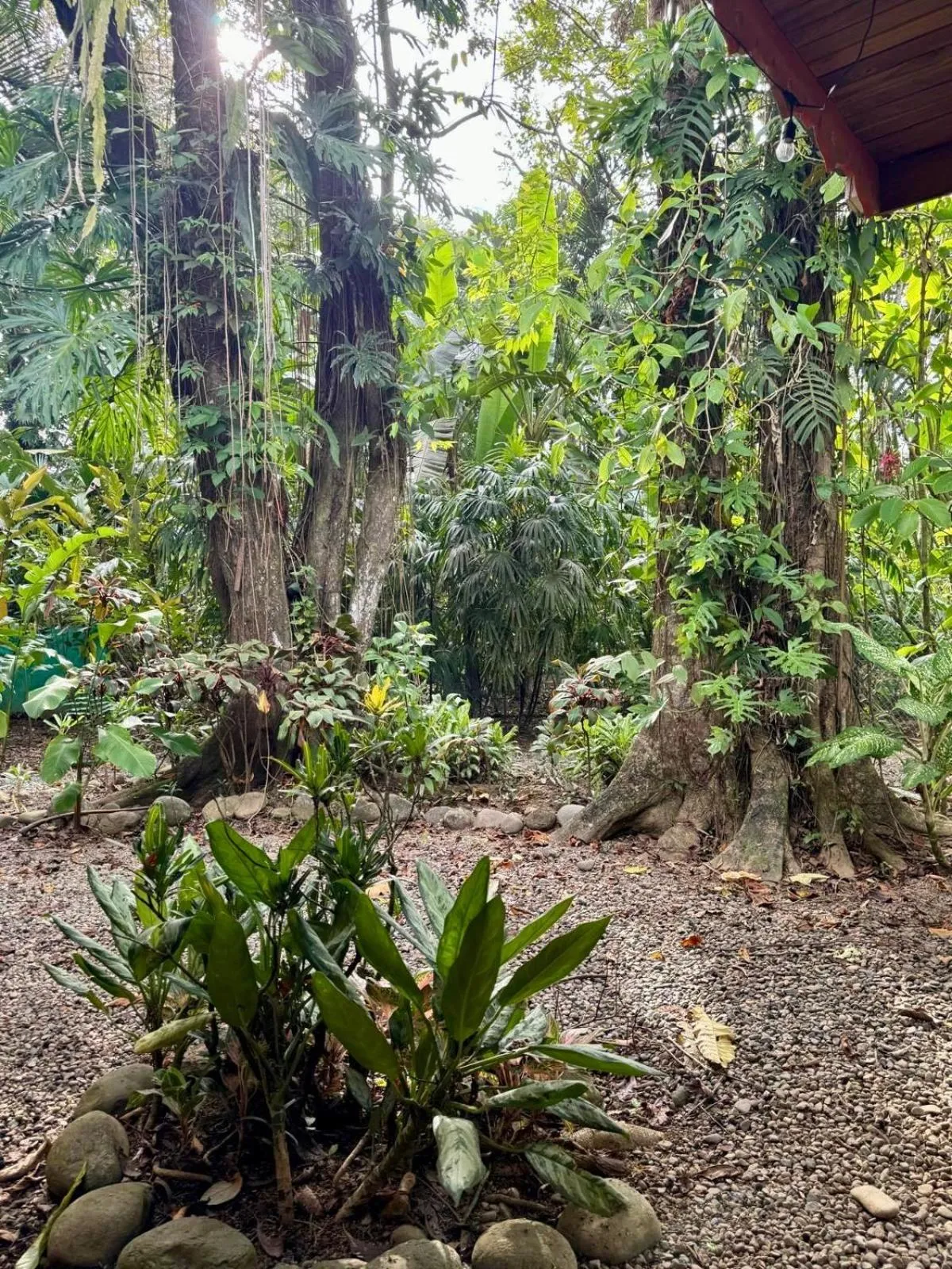 Property building in El Jardin de Playa Negra