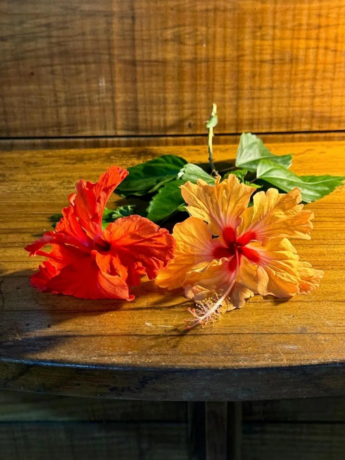 Bedroom in El Jardin de Playa Negra