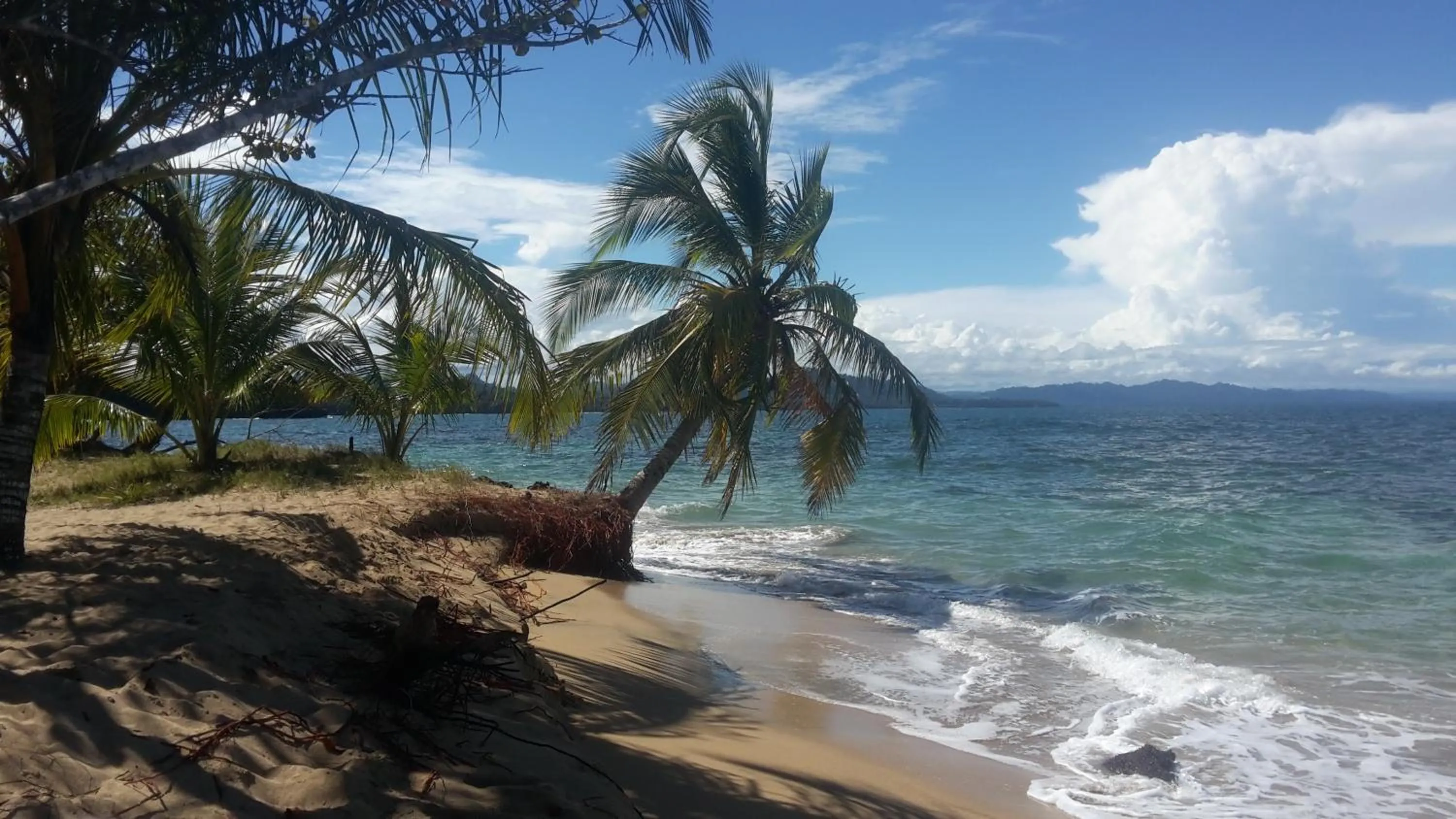 Off site in El Jardin de Playa Negra