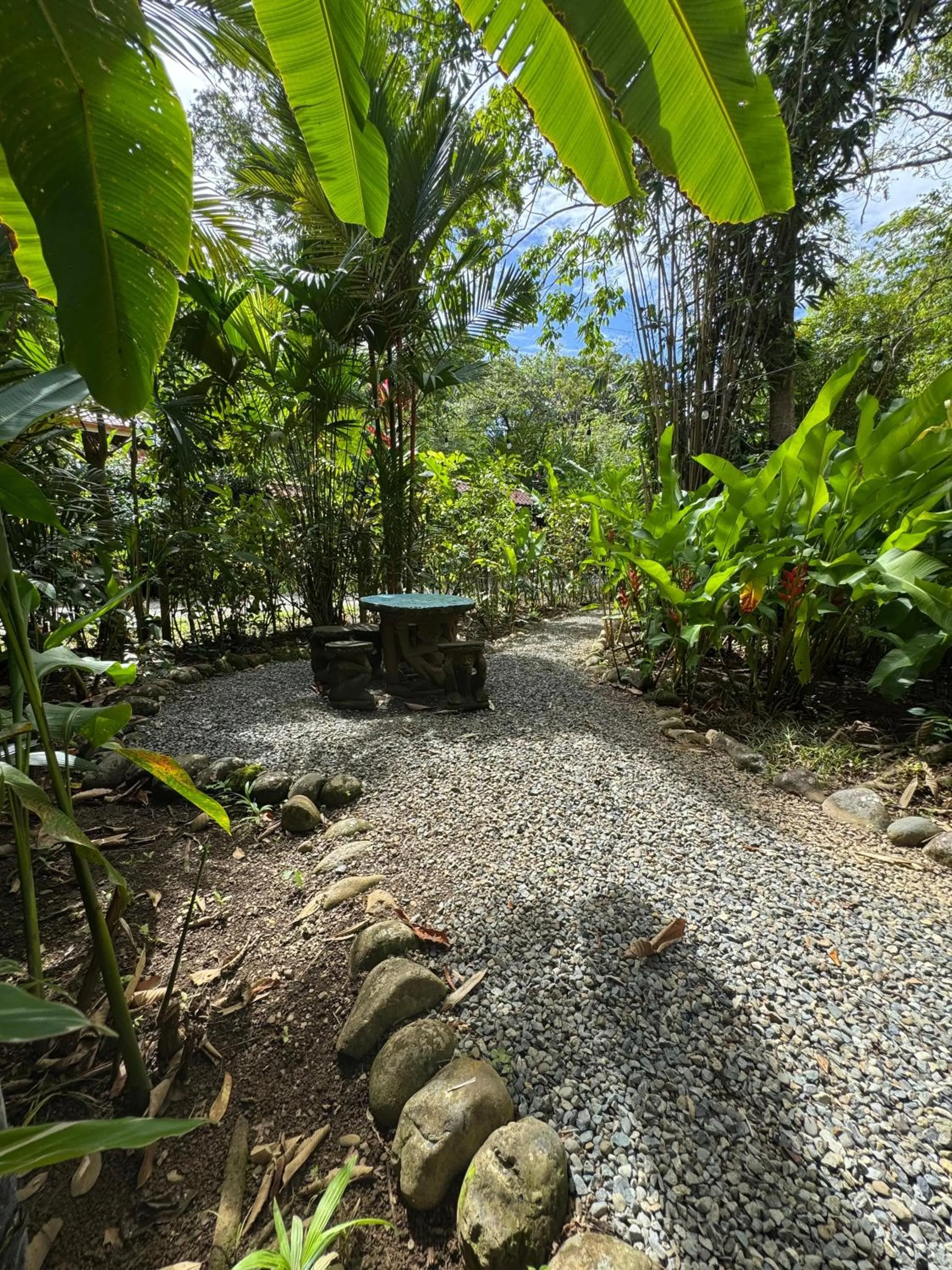 Garden in El Jardin de Playa Negra