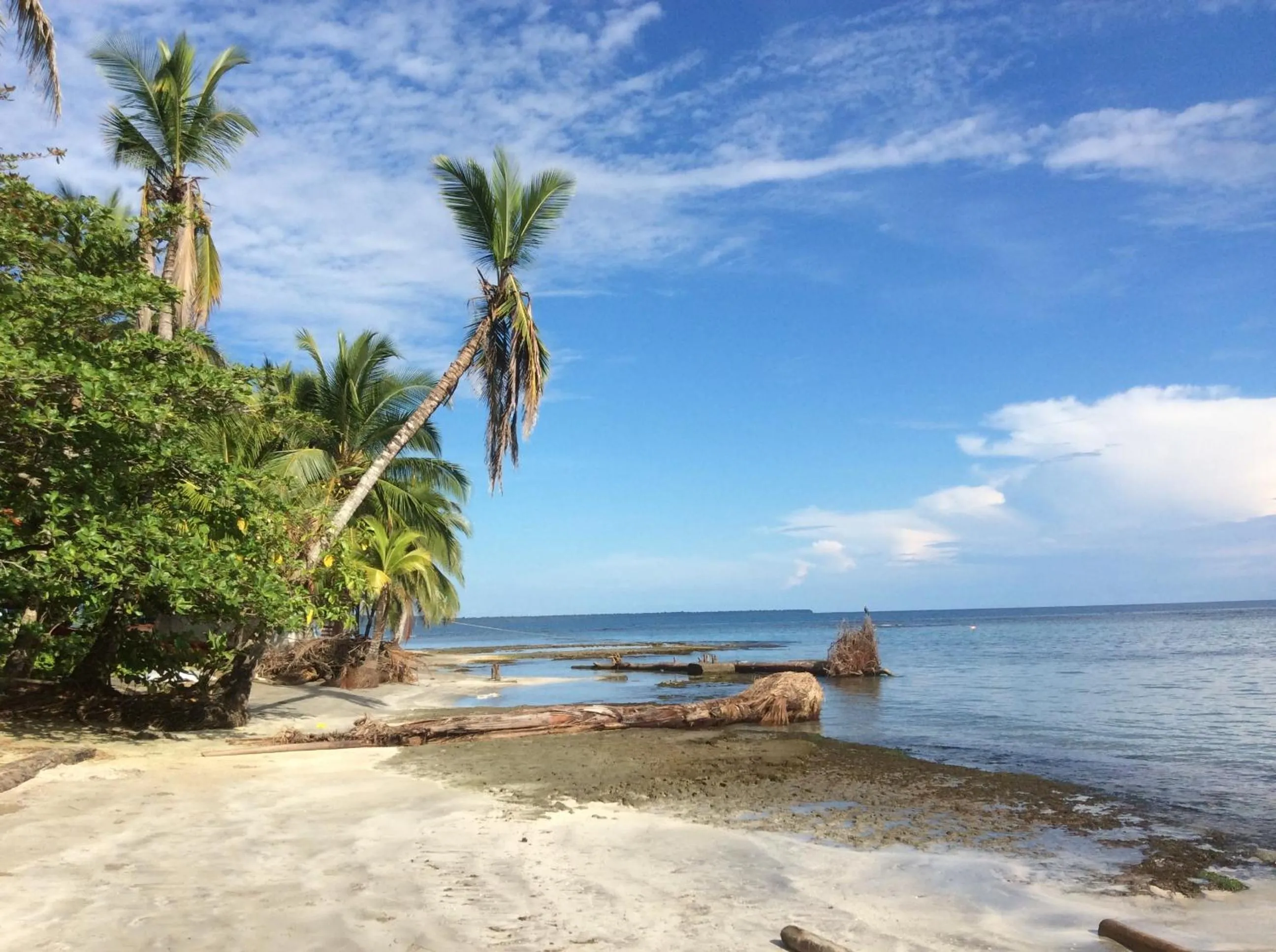 Beach in El Jardin de Playa Negra