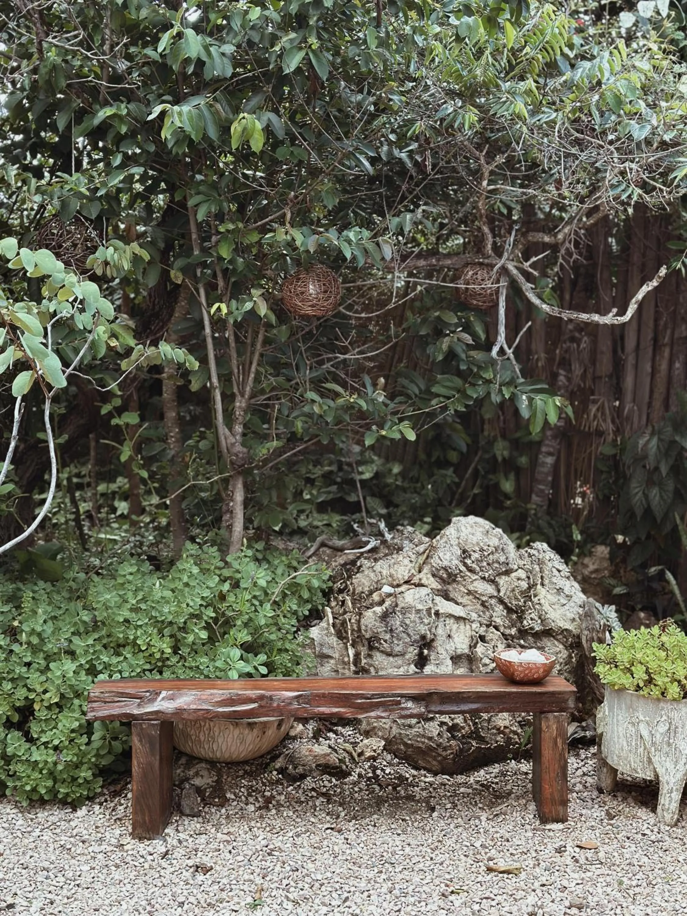 Natural landscape in Vila Abaton