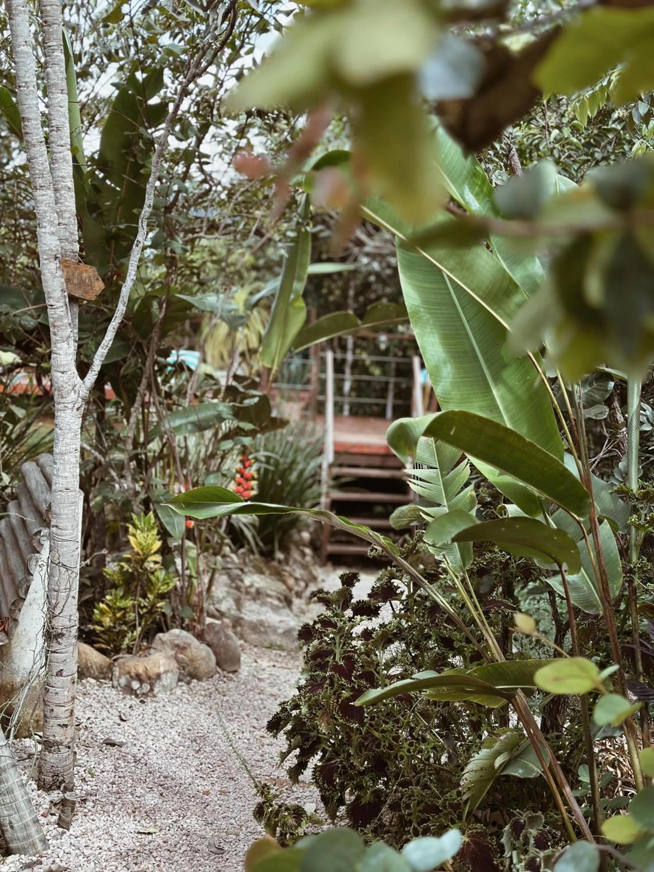 Garden view in Vila Abaton