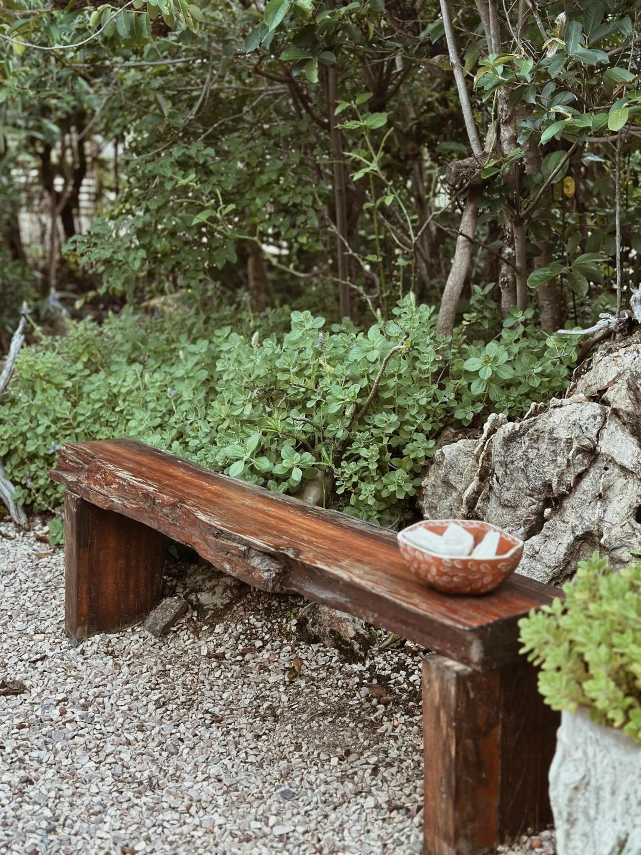 Garden in Vila Abaton