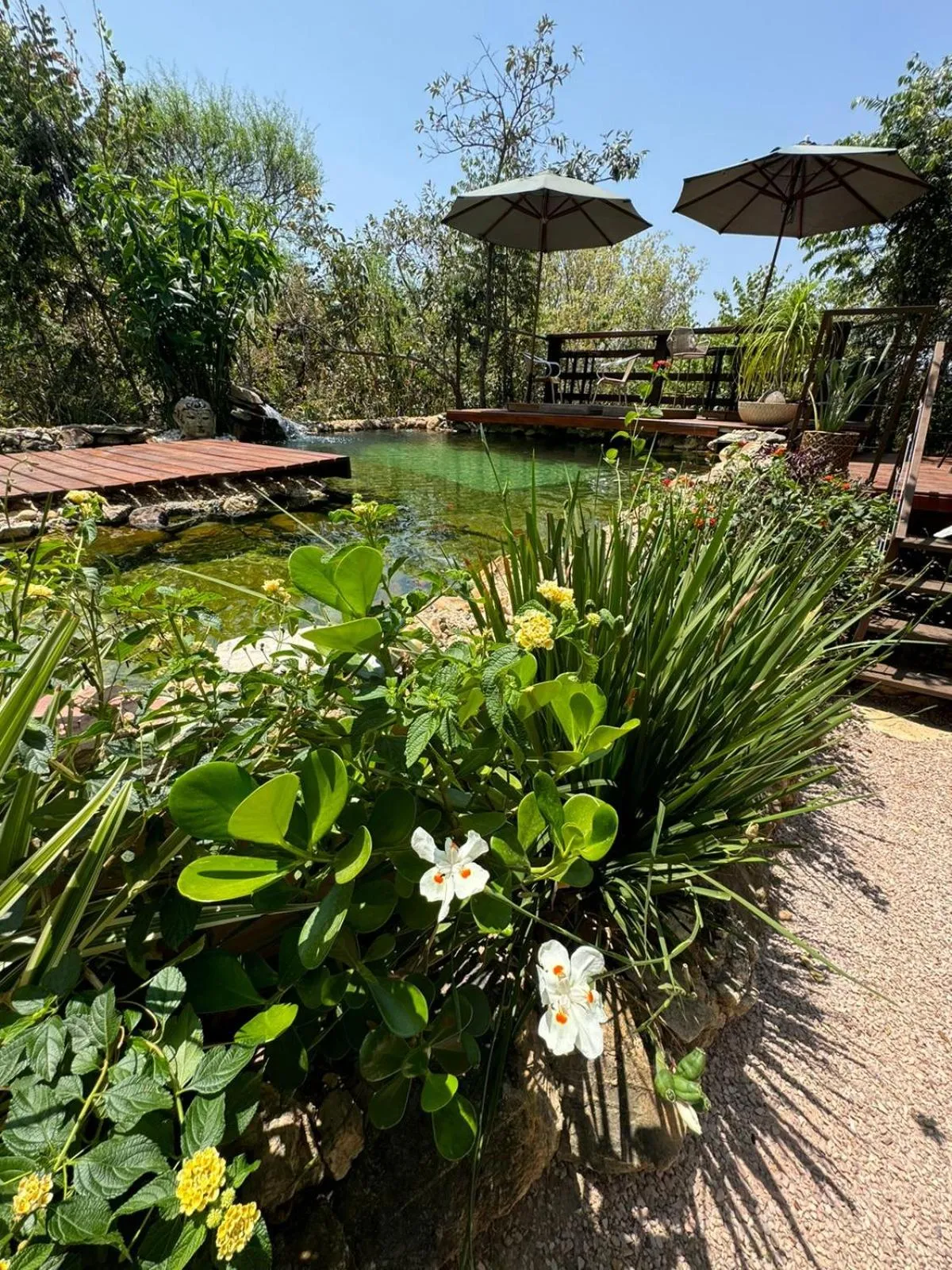 Swimming pool in Vila Abaton