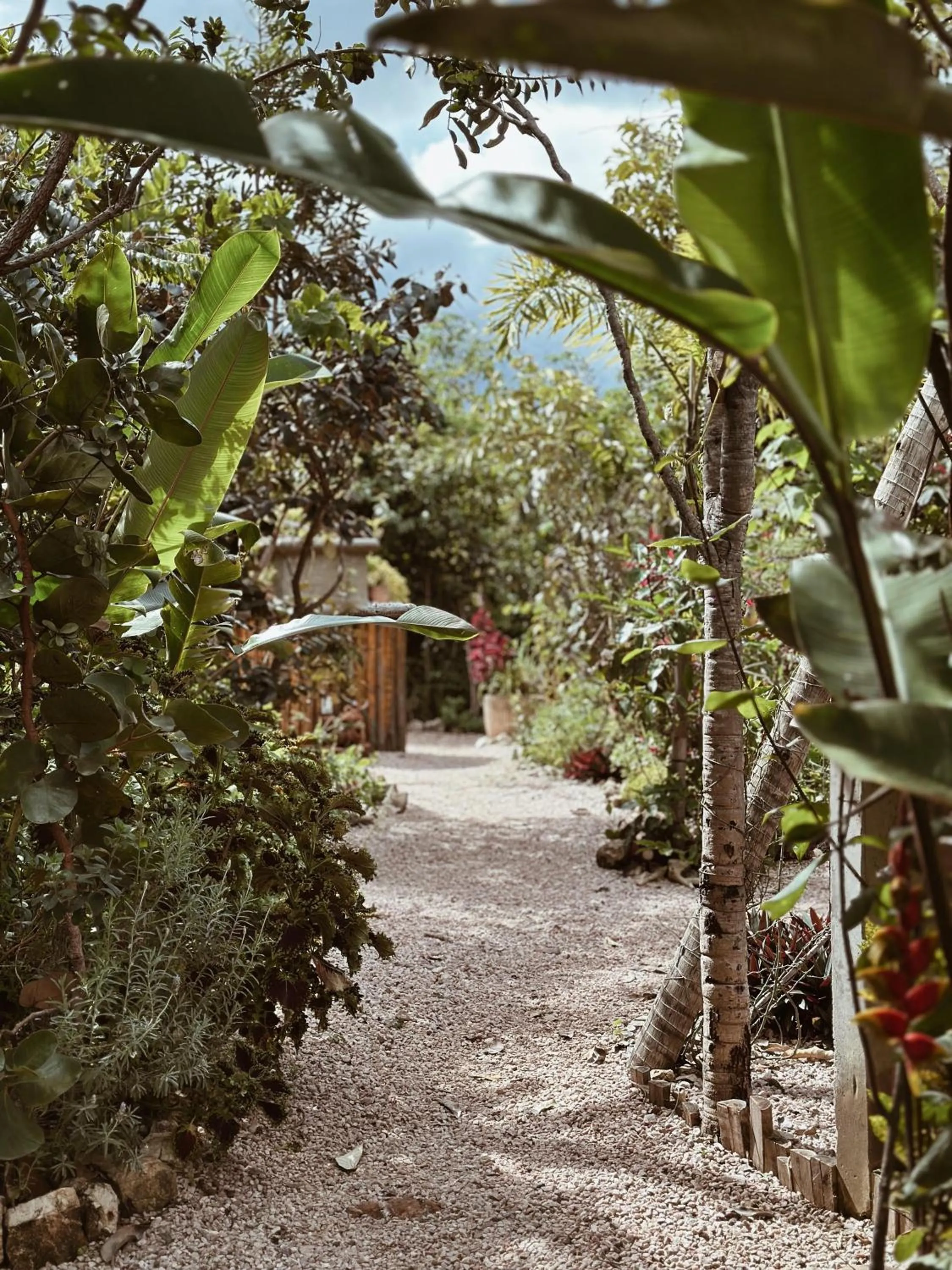 Garden view in Vila Abaton
