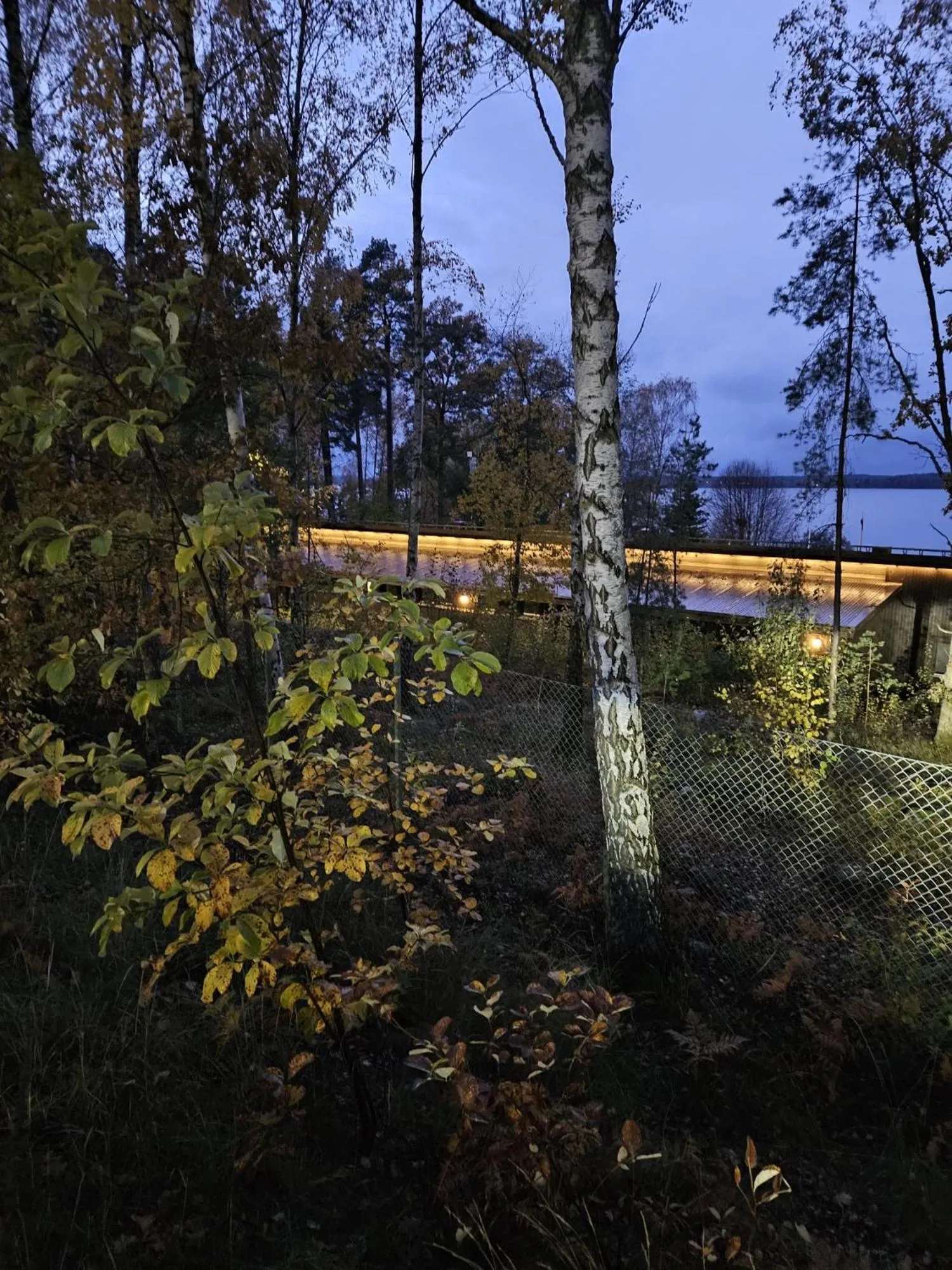 Natural landscape in Kallhällsbaden Strandhotell
